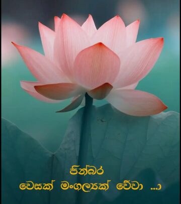 Upul Tharanga Shares Enlightening Vesak Message