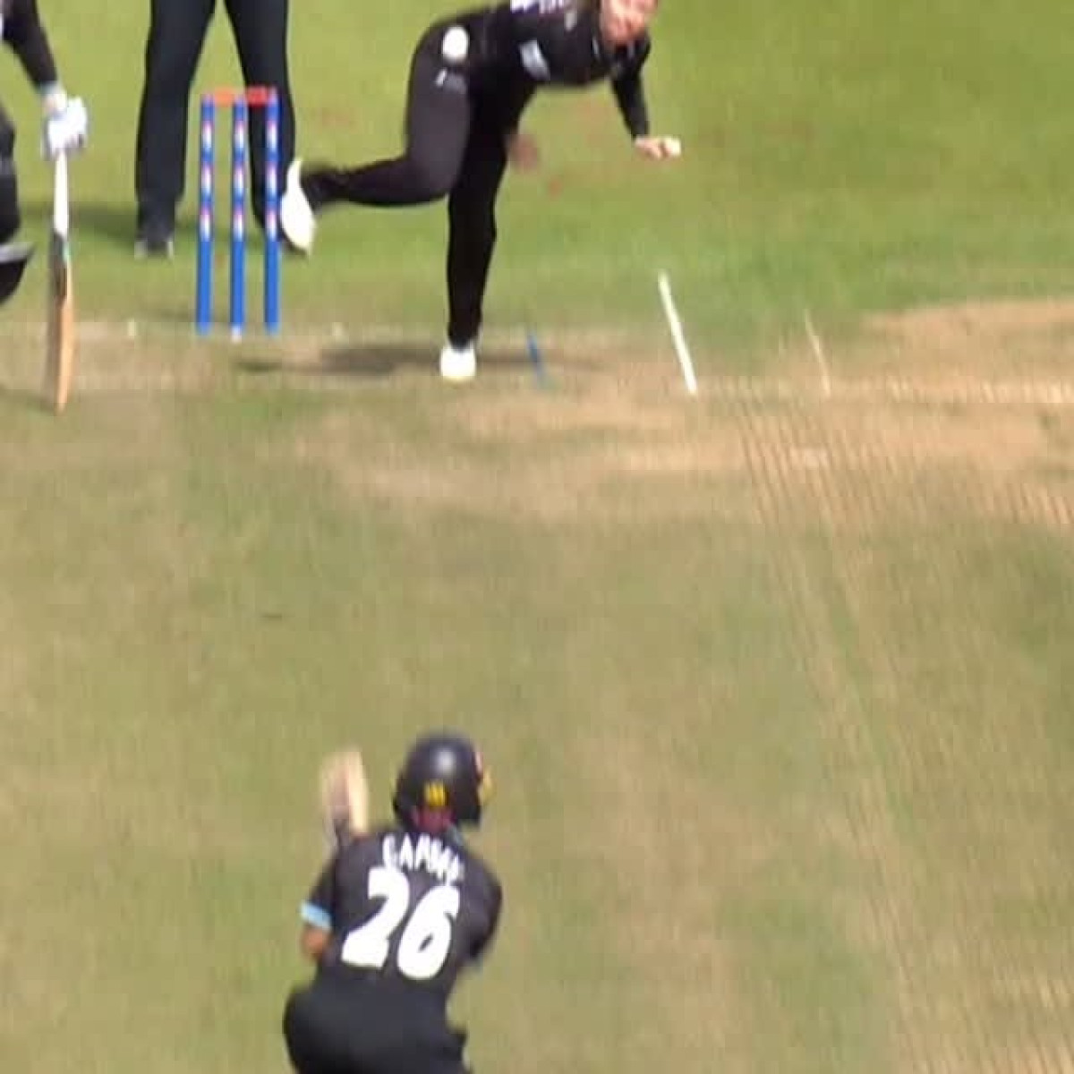 Wellington Shines With Four Crucial Wickets Cricketer Amanda-Jade Wellington powers Somerset's win with four pivotal wickets vs Surrey