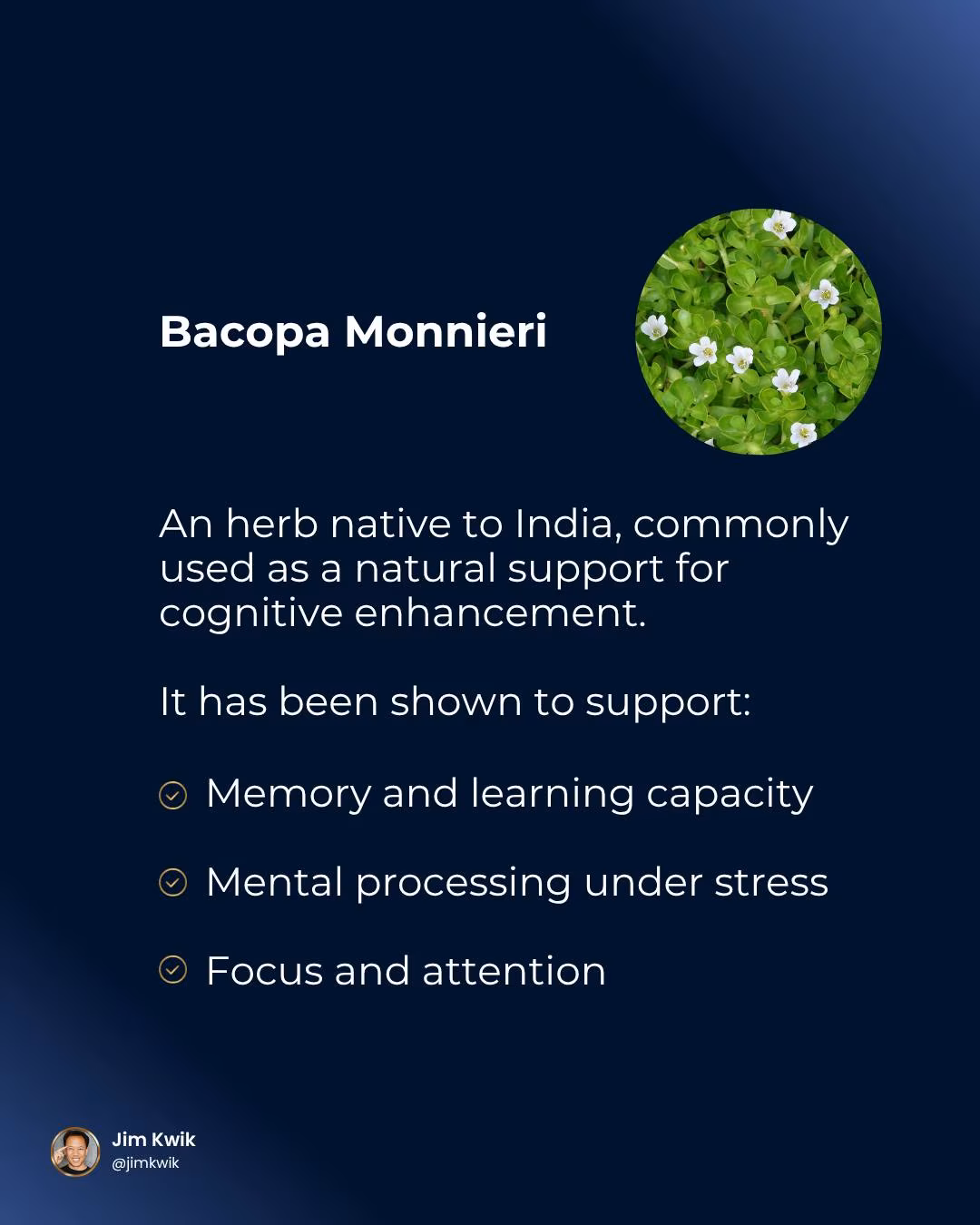 5 Powerful Brain Boosters for Mental Clarity