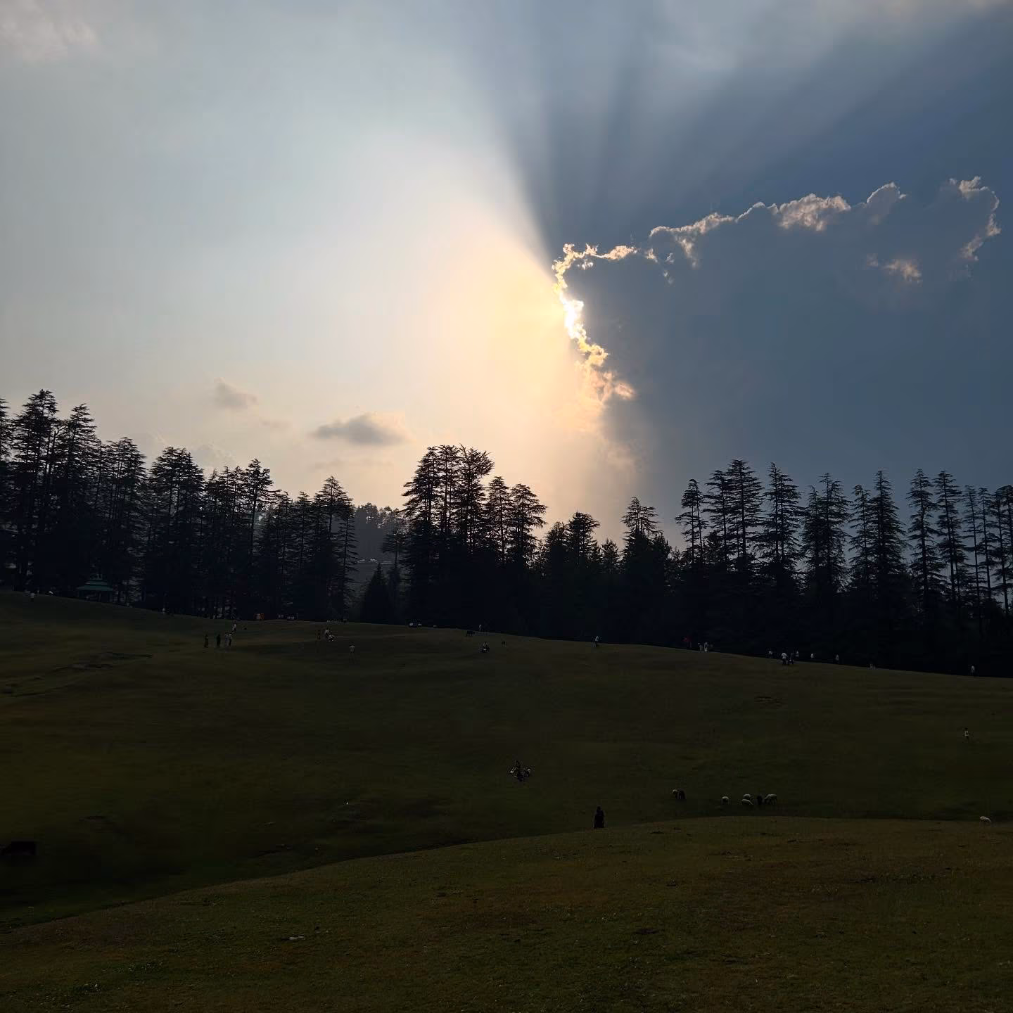 Anuj Rawat Unveils Himachal Paradise Escape