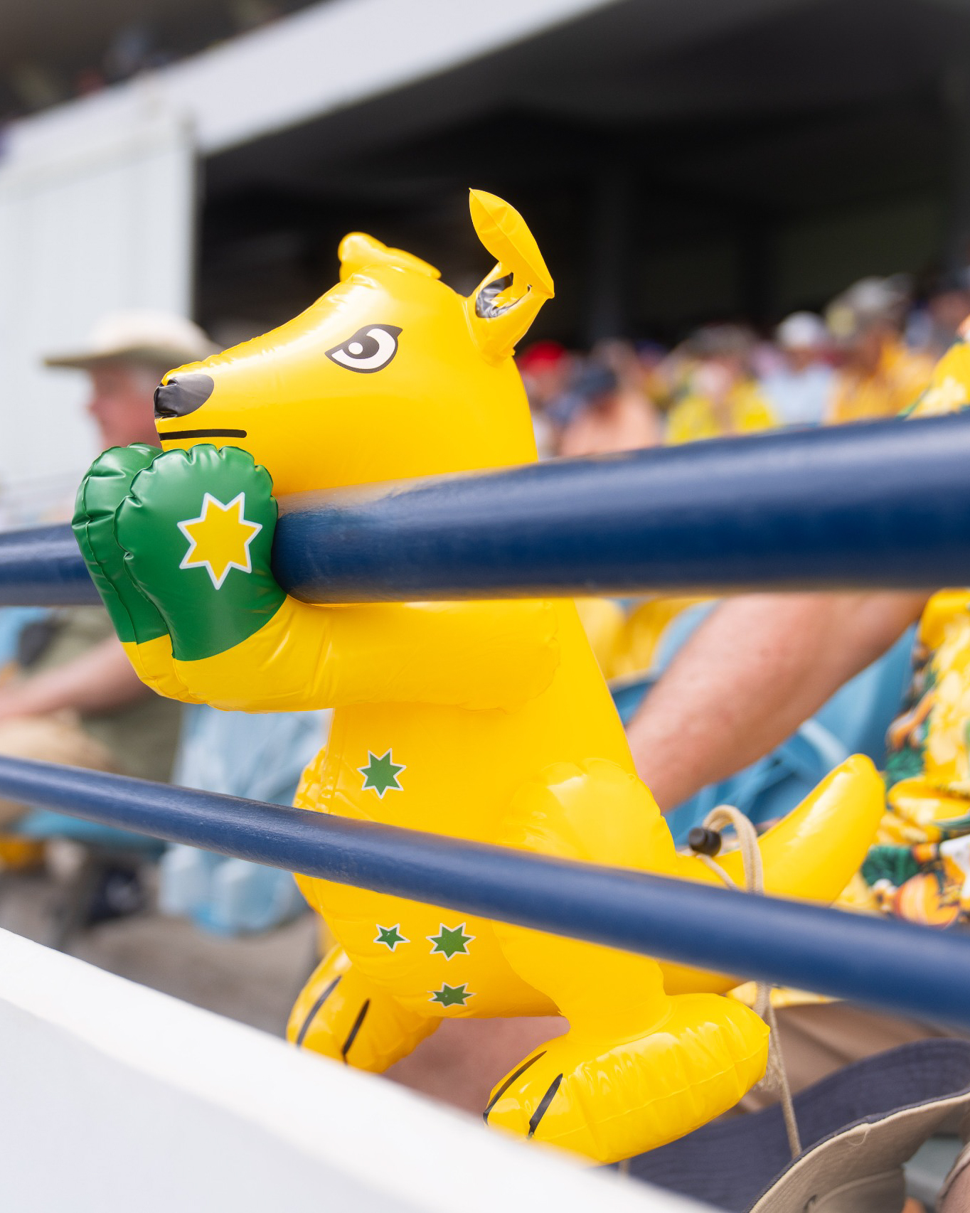 Aussie Fans Energize Barbados Ahead Of Grenada Series