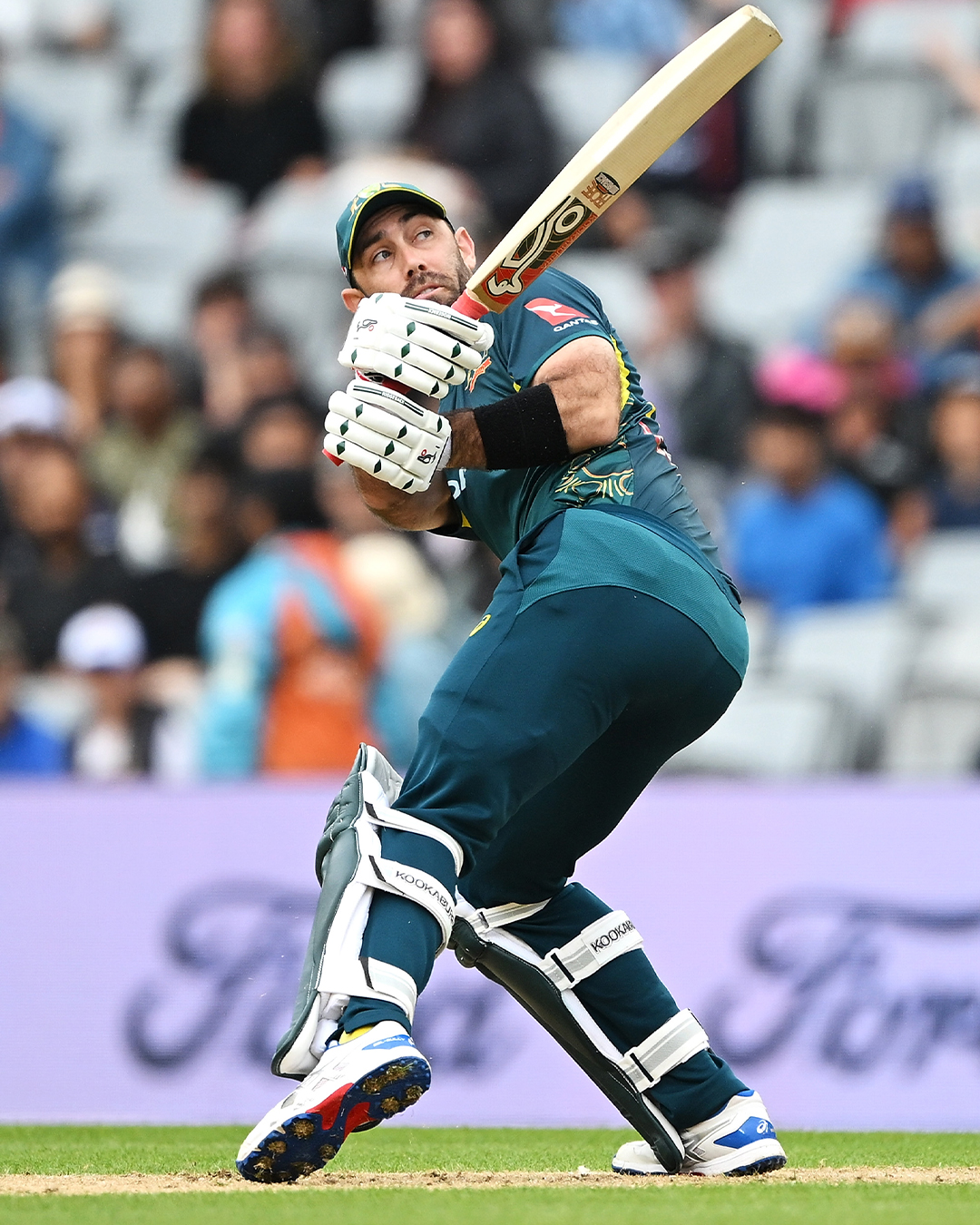 Australian Cricket Set For T20I Series In New Zealand