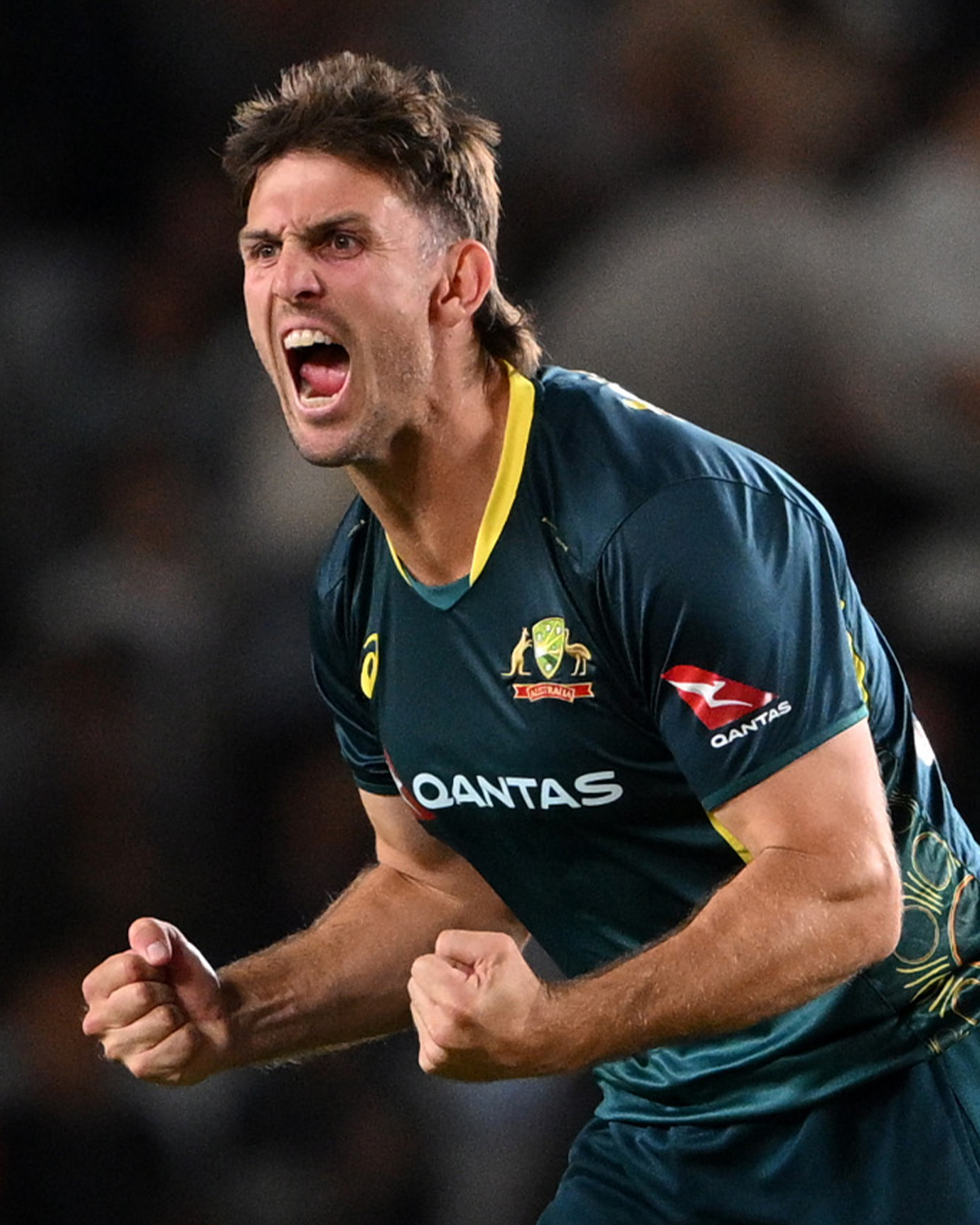 Australian Cricket Set For T20I Series In New Zealand