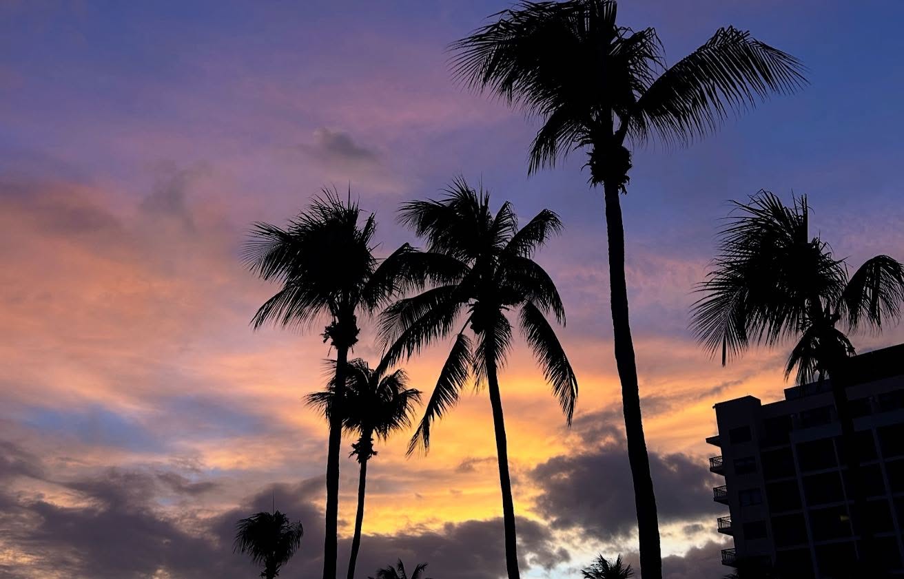 Barbados Calling: Nadine De Klerk Shines In Caribbean