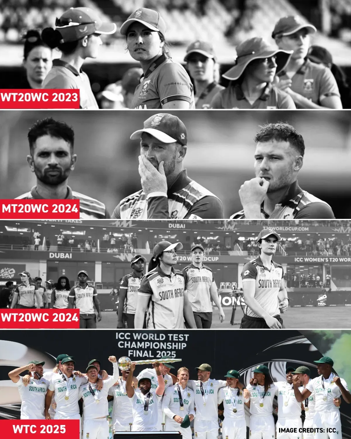 Delhi Capitals Show Patience And Focus Focused resilience echoes as Capitals embrace patience, driving success on pitch, always.