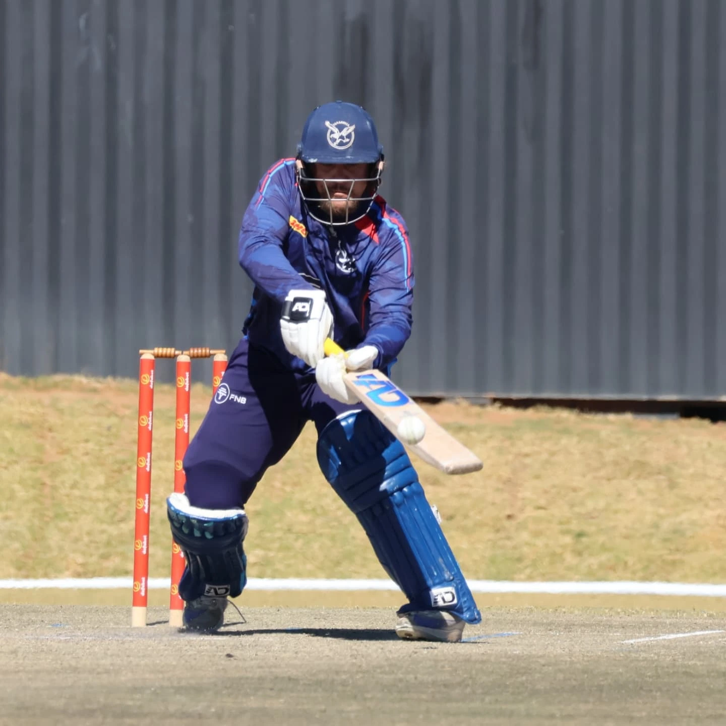FNB Eagles End 50 Overs at 301/5, Assam Need 302