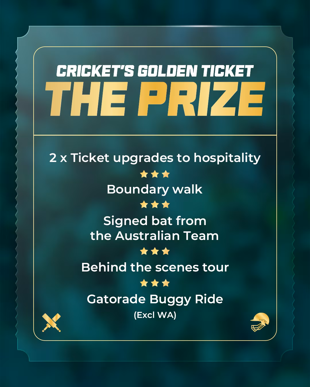 Golden Ticket Revives Summer Cricket Thrills