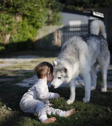 Happy Pet Siblings Shine In Hill’s Pet Food SA Post