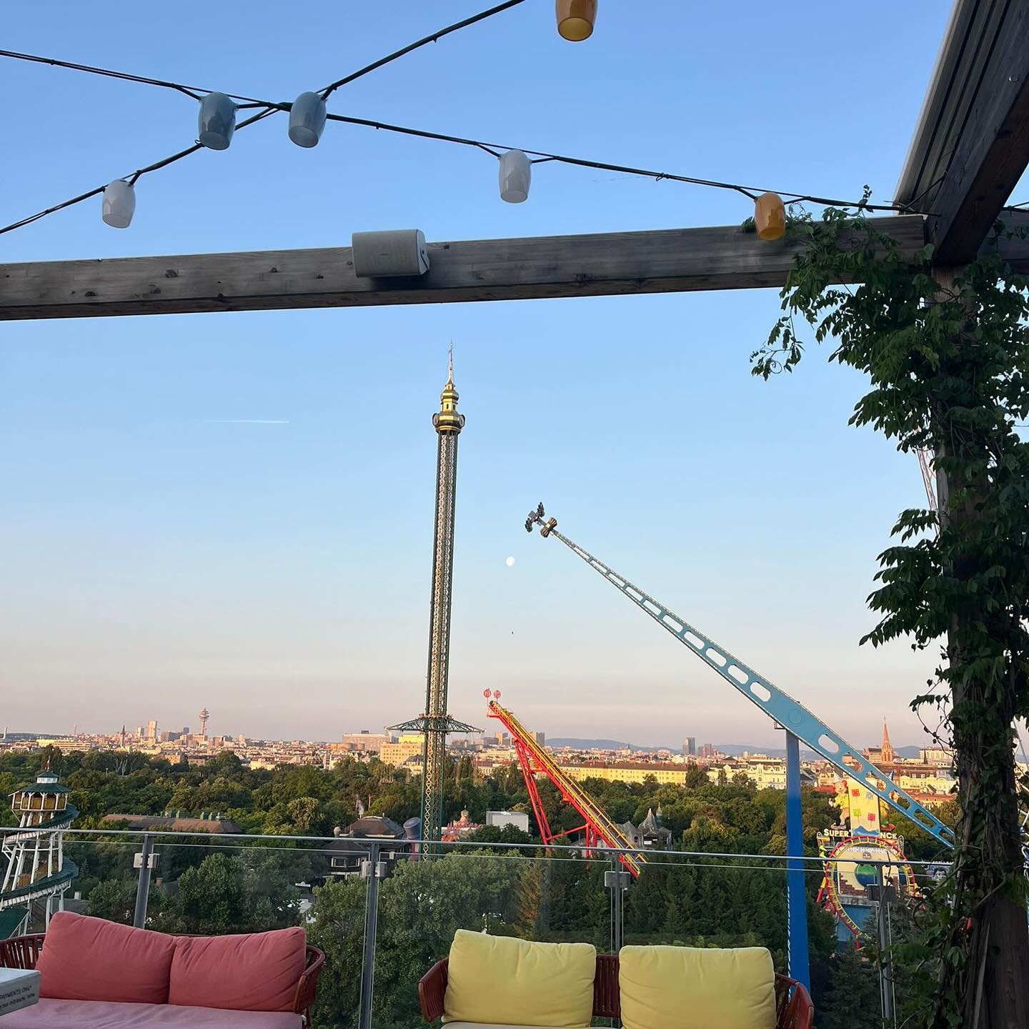 Jarred Brown Explores Vienna's Charm