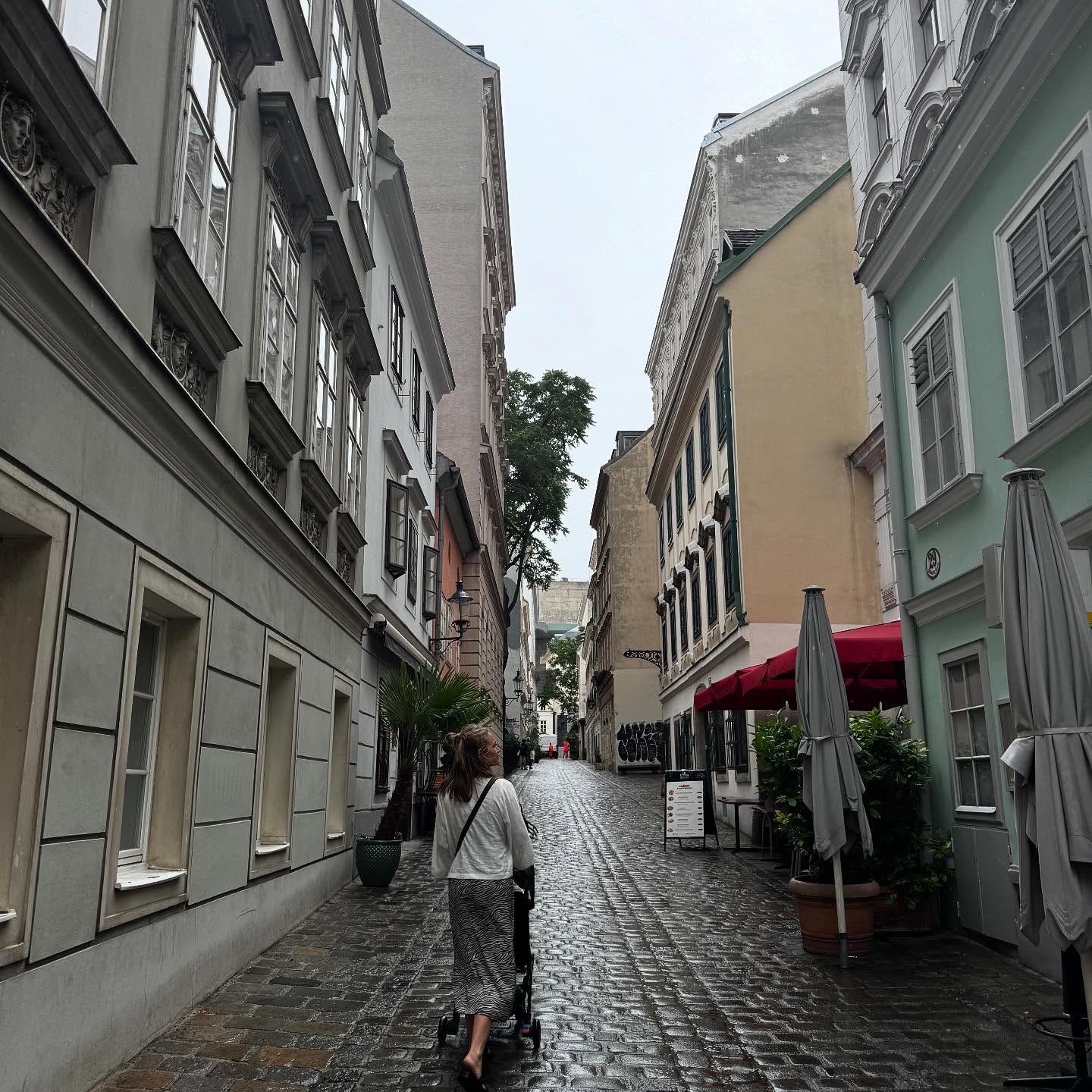 Jarred Brown Explores Vienna's Charm