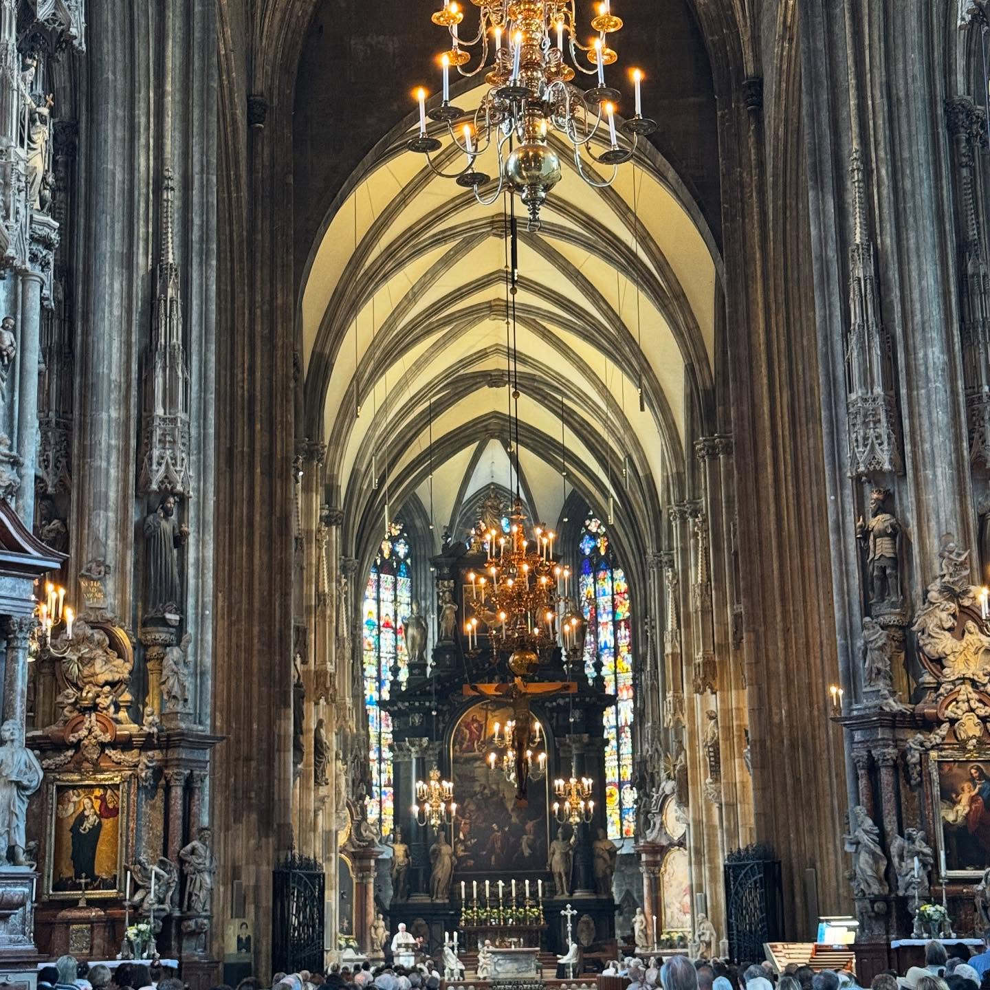 Jarred Brown Explores Vienna's Charm