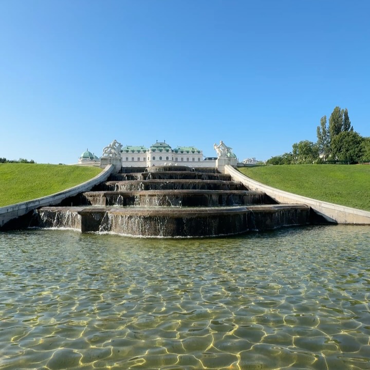 Jarred Brown Explores Vienna's Charm