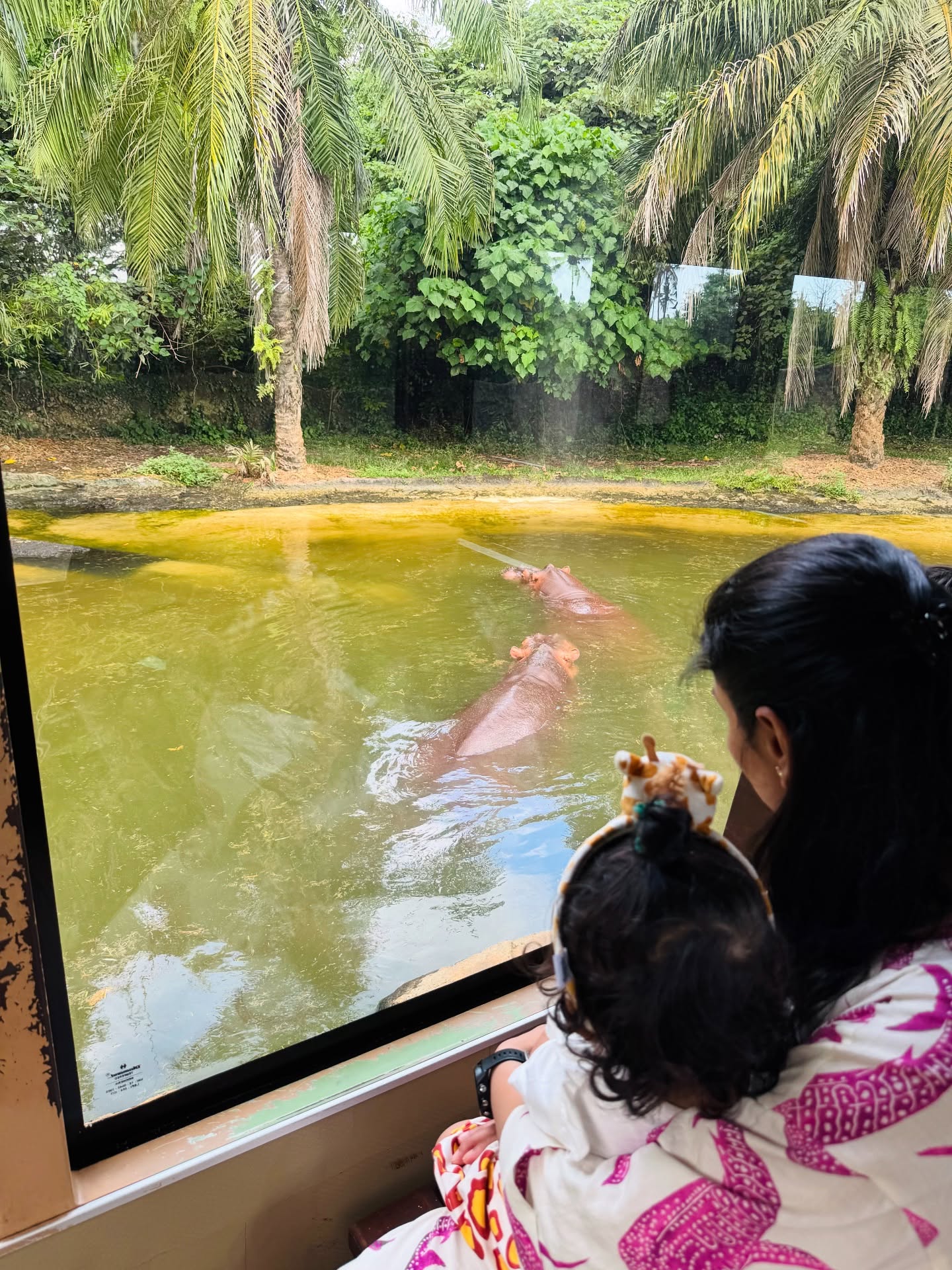 Kainat Imtiaz Enjoys Bali Safari Adventure
