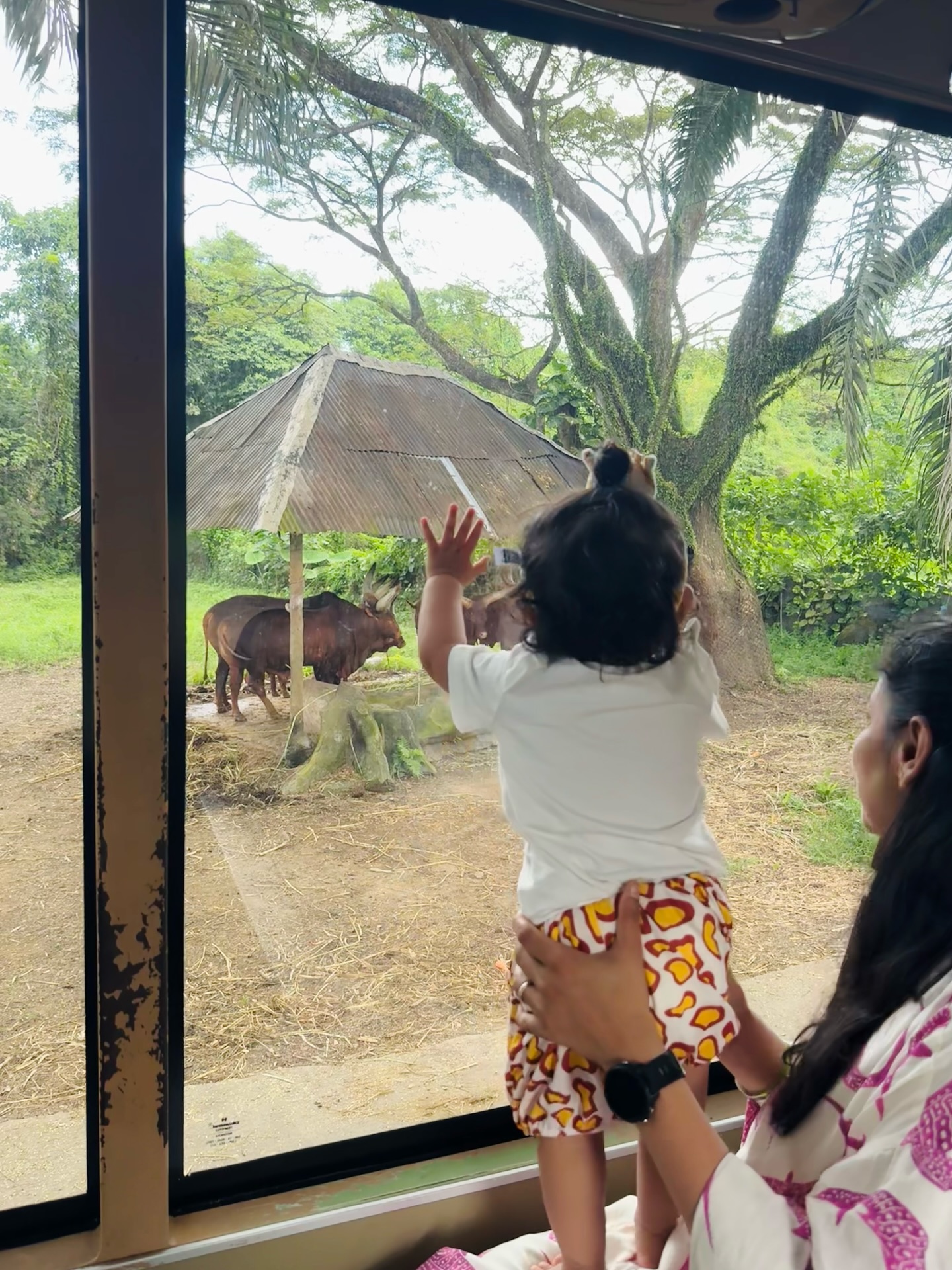 Kainat Imtiaz Enjoys Bali Safari Adventure