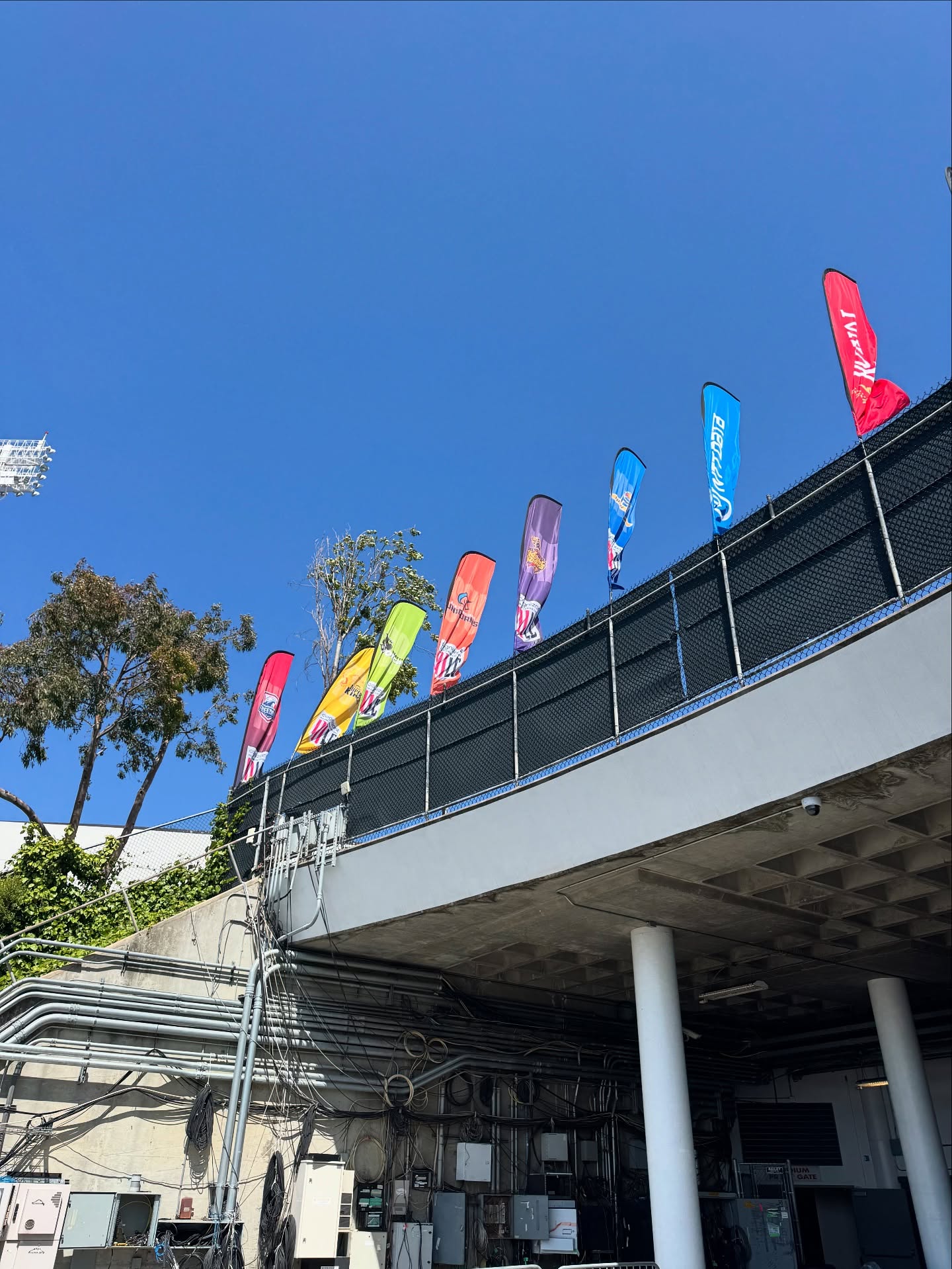 Lisa Sthalekar Excels At MLC Oakland Coliseum