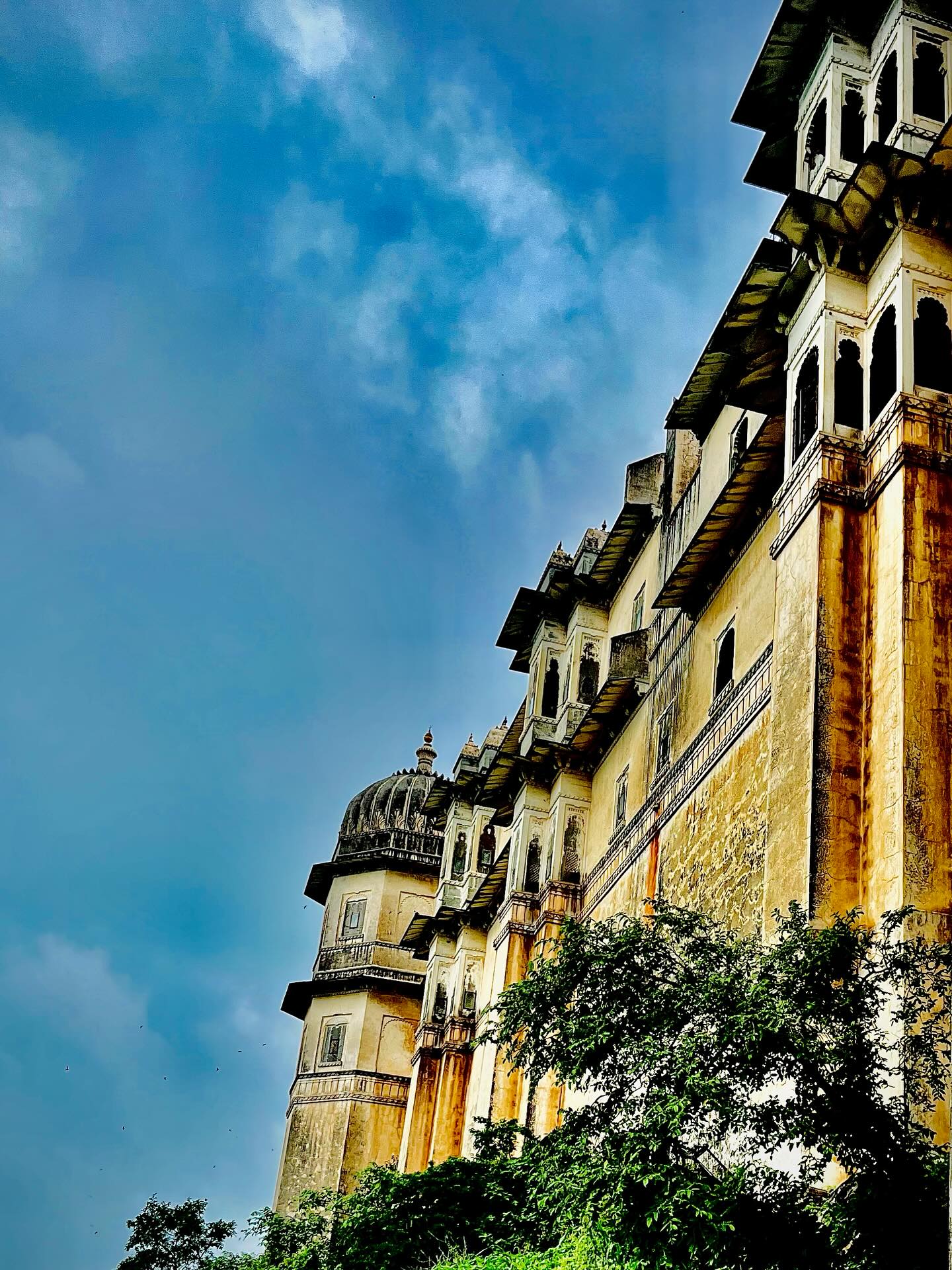 Mahipal Lomror Embraces Rajasthan Splendor