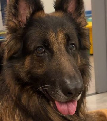 Manoj Tiwary Celebrates 10th Birthday For His Furry Son