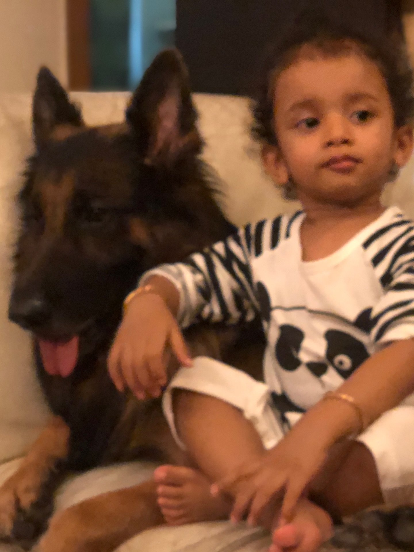 Manoj Tiwary Celebrates 10th Birthday For His Furry Son
