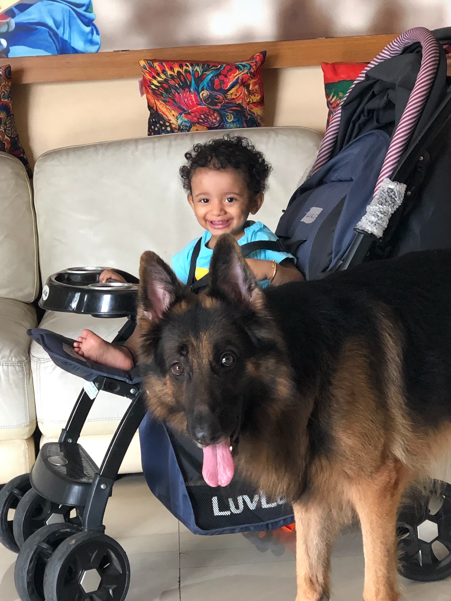 Manoj Tiwary Celebrates 10th Birthday For His Furry Son