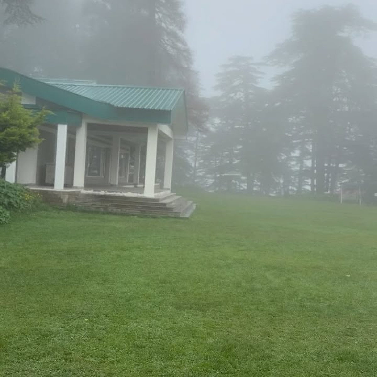Cricketer turns contemplative, sharing his serene hilltop moment of gratitude. - outdoors!