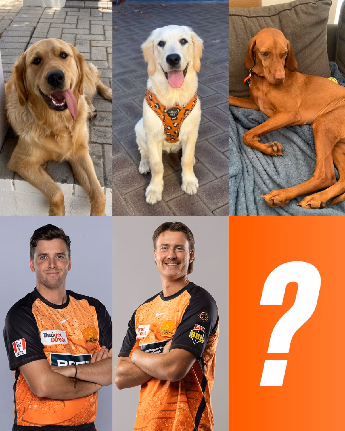 Latest move as Scorchers snare 2 Nalas & plan one more recruit amid BBL buzz in Perth now!
