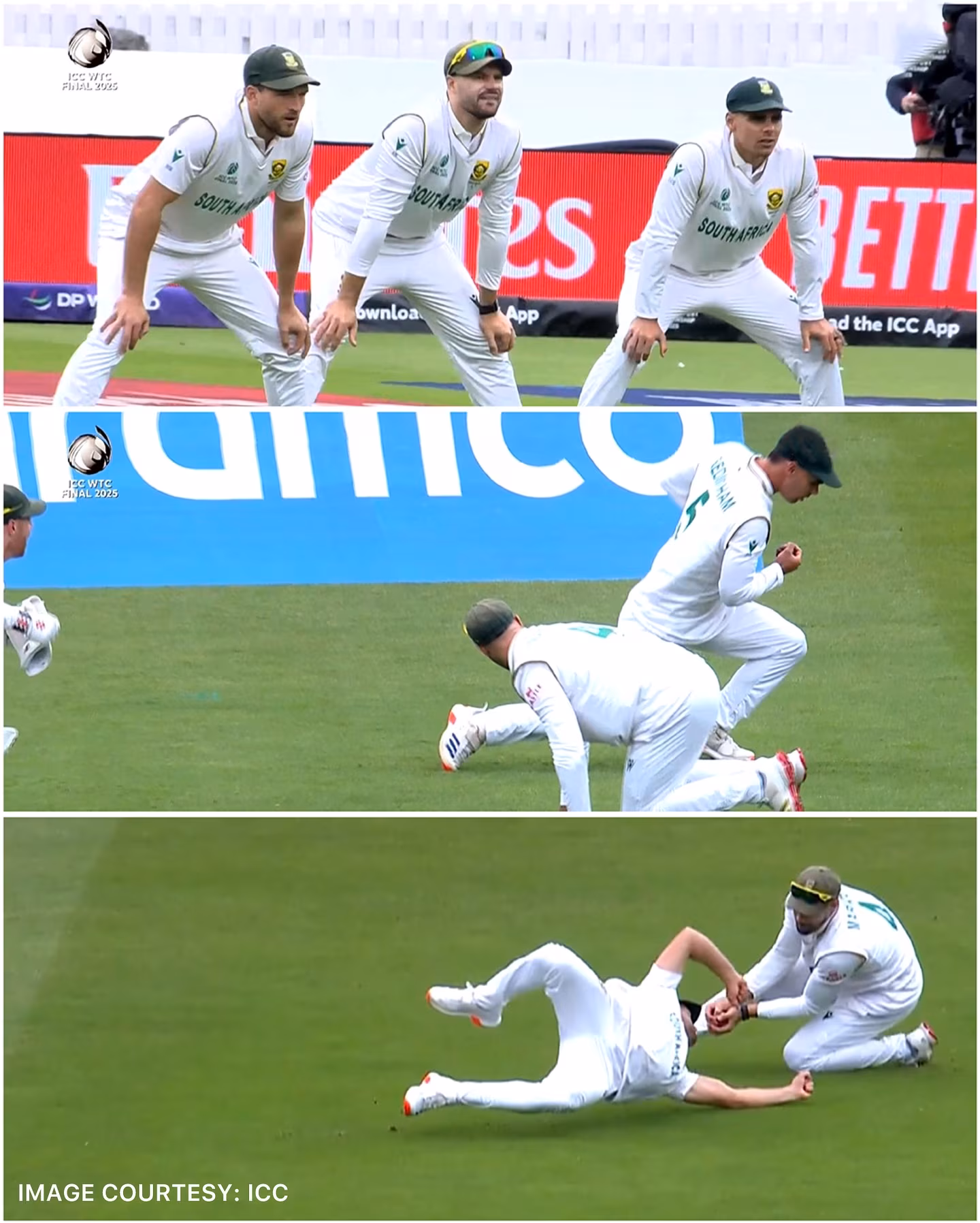 Protea Fire Ignites At Royals Slip Moment Dazzling slip field moment as Protea Fire lights passion, uniting Royals in play on field.