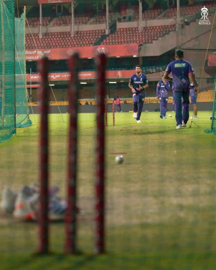 Rajasthan Royals Celebrate Birthday Boy’s Pink Season