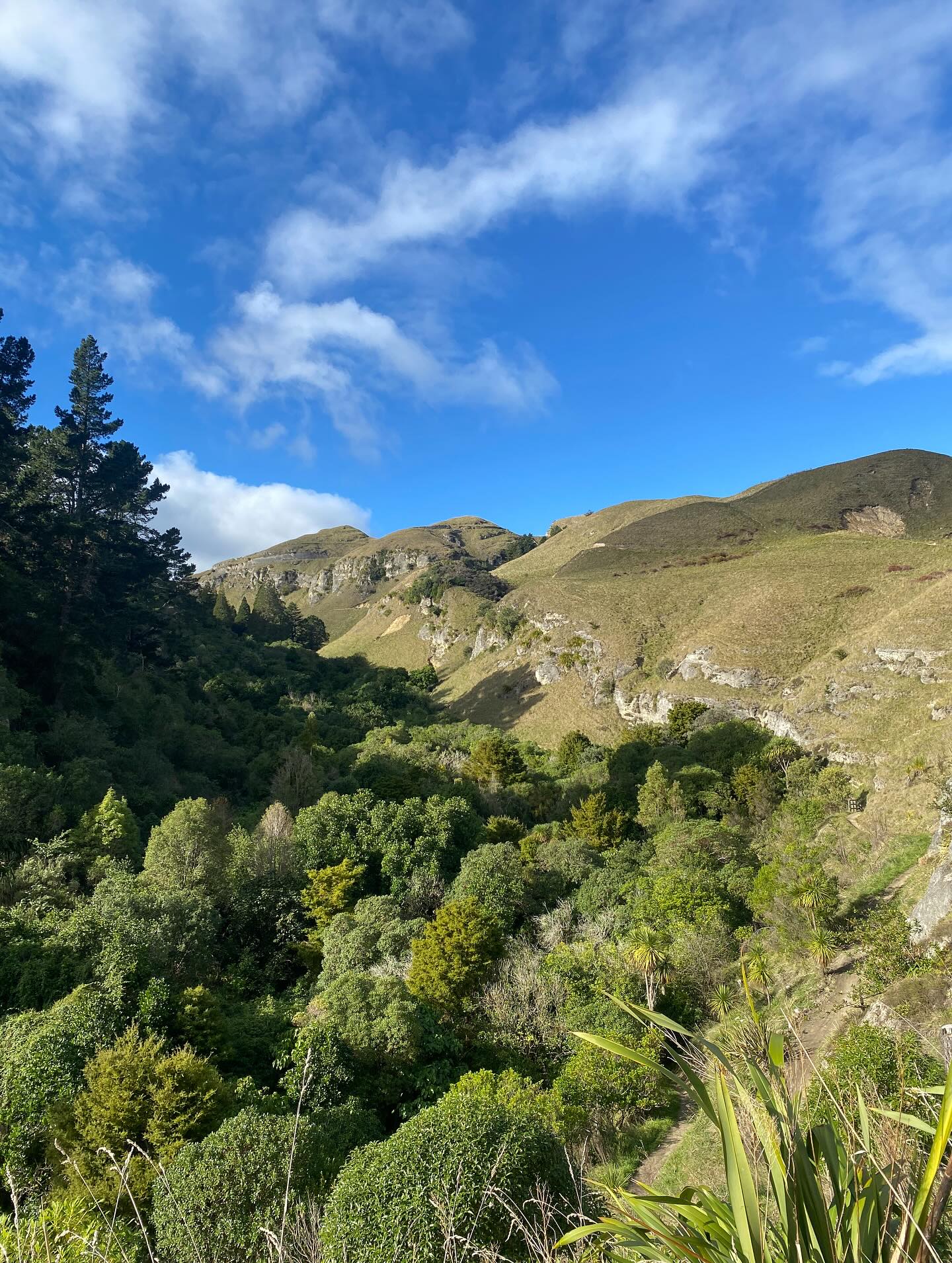Scott Kuggeleijn Team Walk In New Zealand