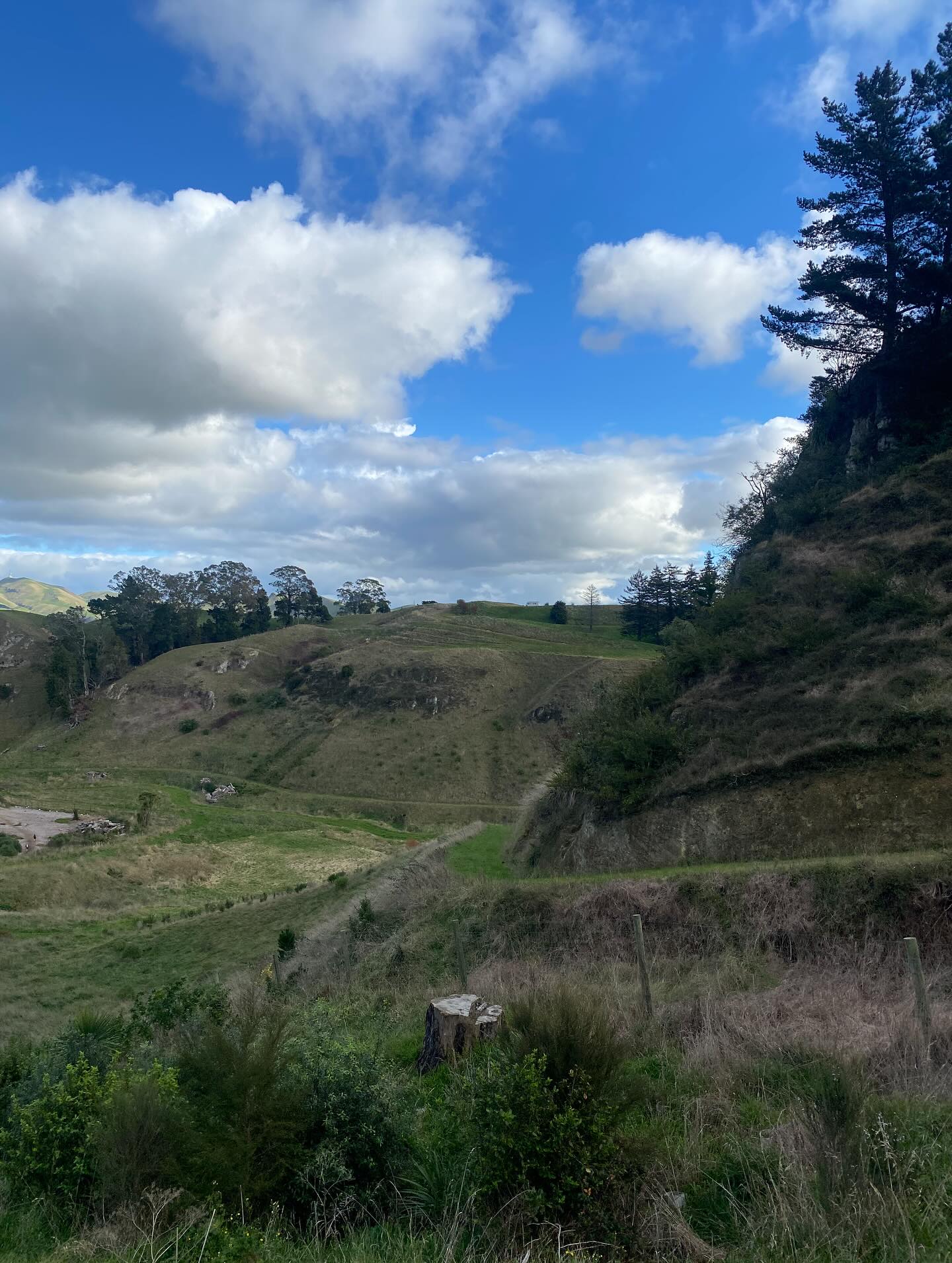 Scott Kuggeleijn Team Walk In New Zealand