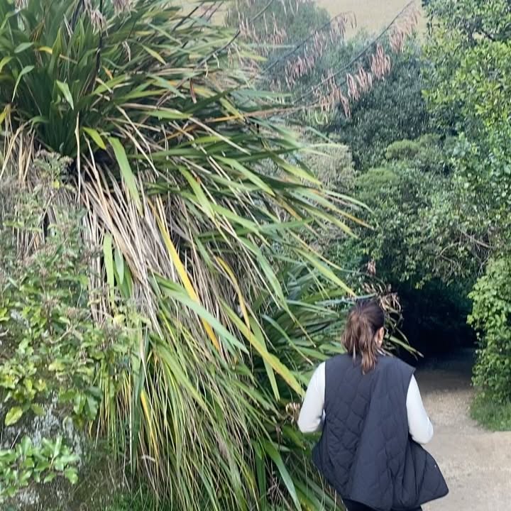 Scott Kuggeleijn Team Walk In New Zealand