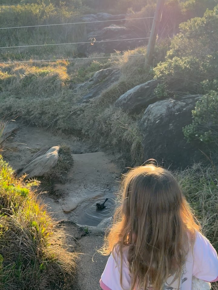 Sean Abbott's May And June Post