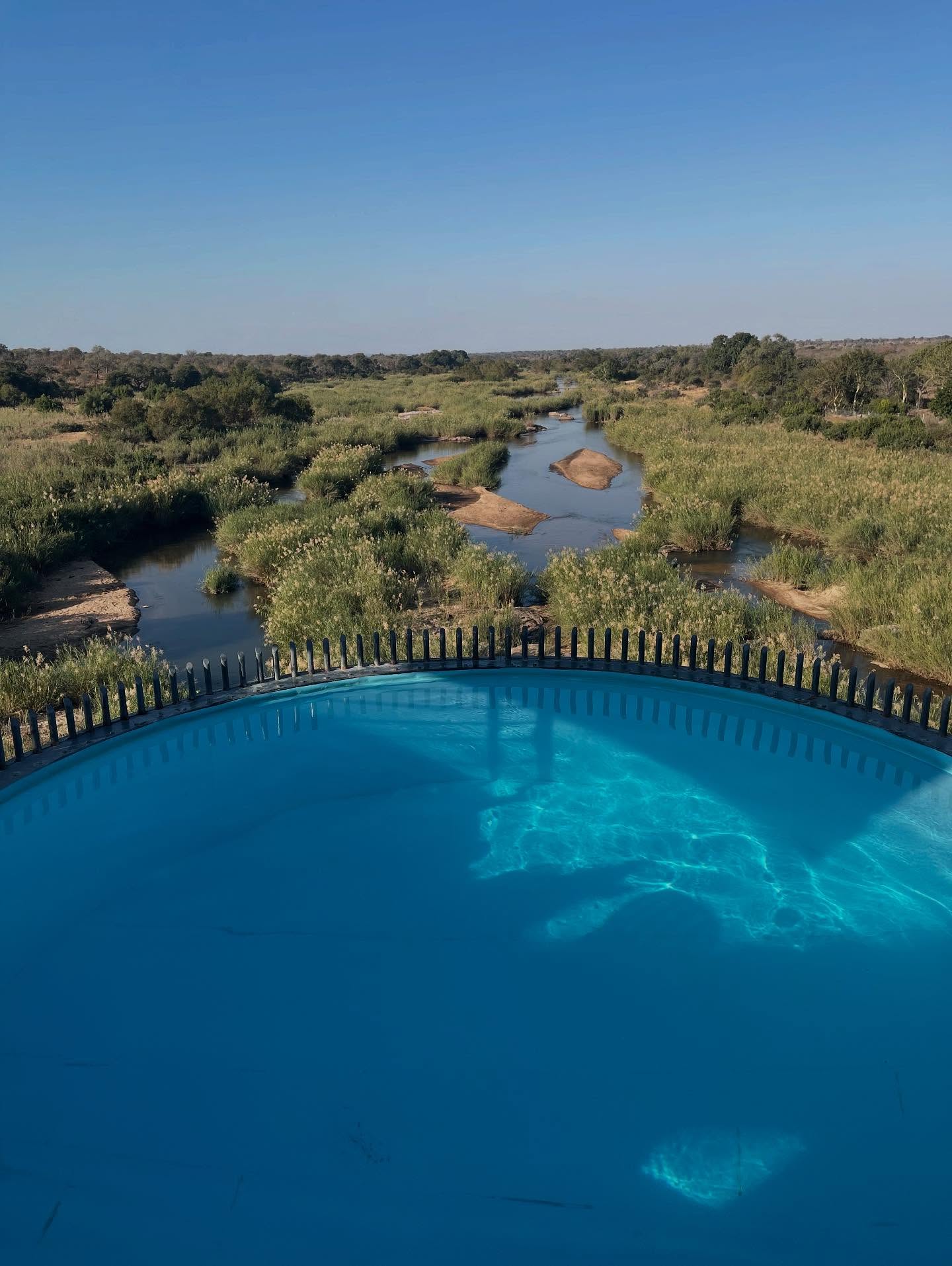 South Africa Safari And Golf Trip Inspires Conservation Efforts Darren Gough savors Africa’s safari and golf adventure while aiding wildlife conservation.