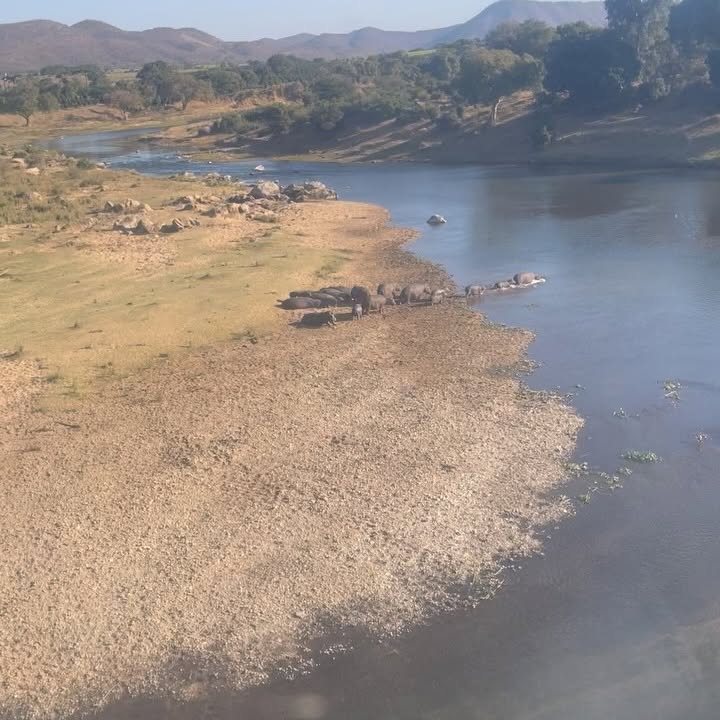 South Africa Safari And Golf Trip Inspires Conservation Efforts