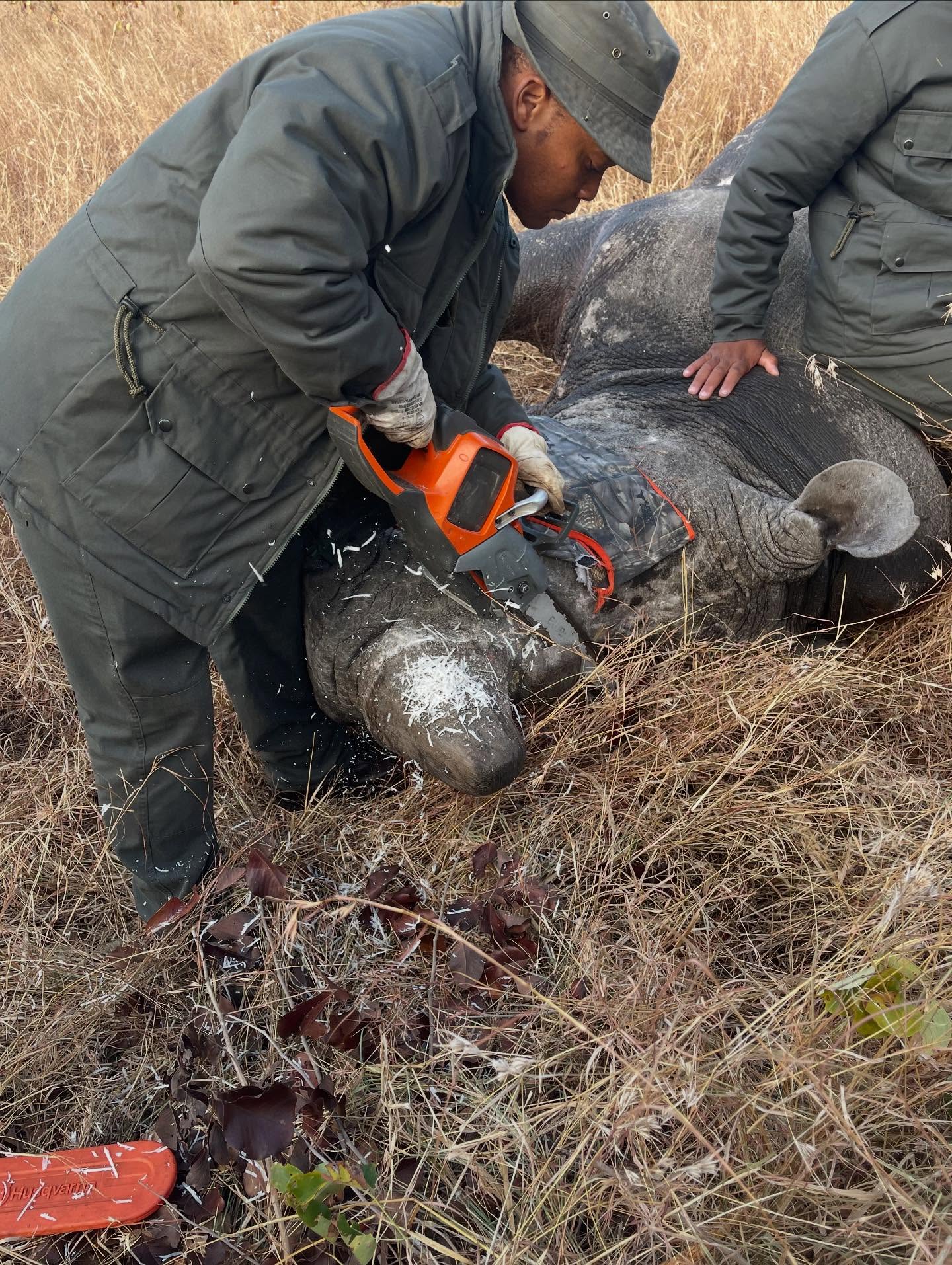 South Africa Safari And Golf Trip Inspires Conservation Efforts