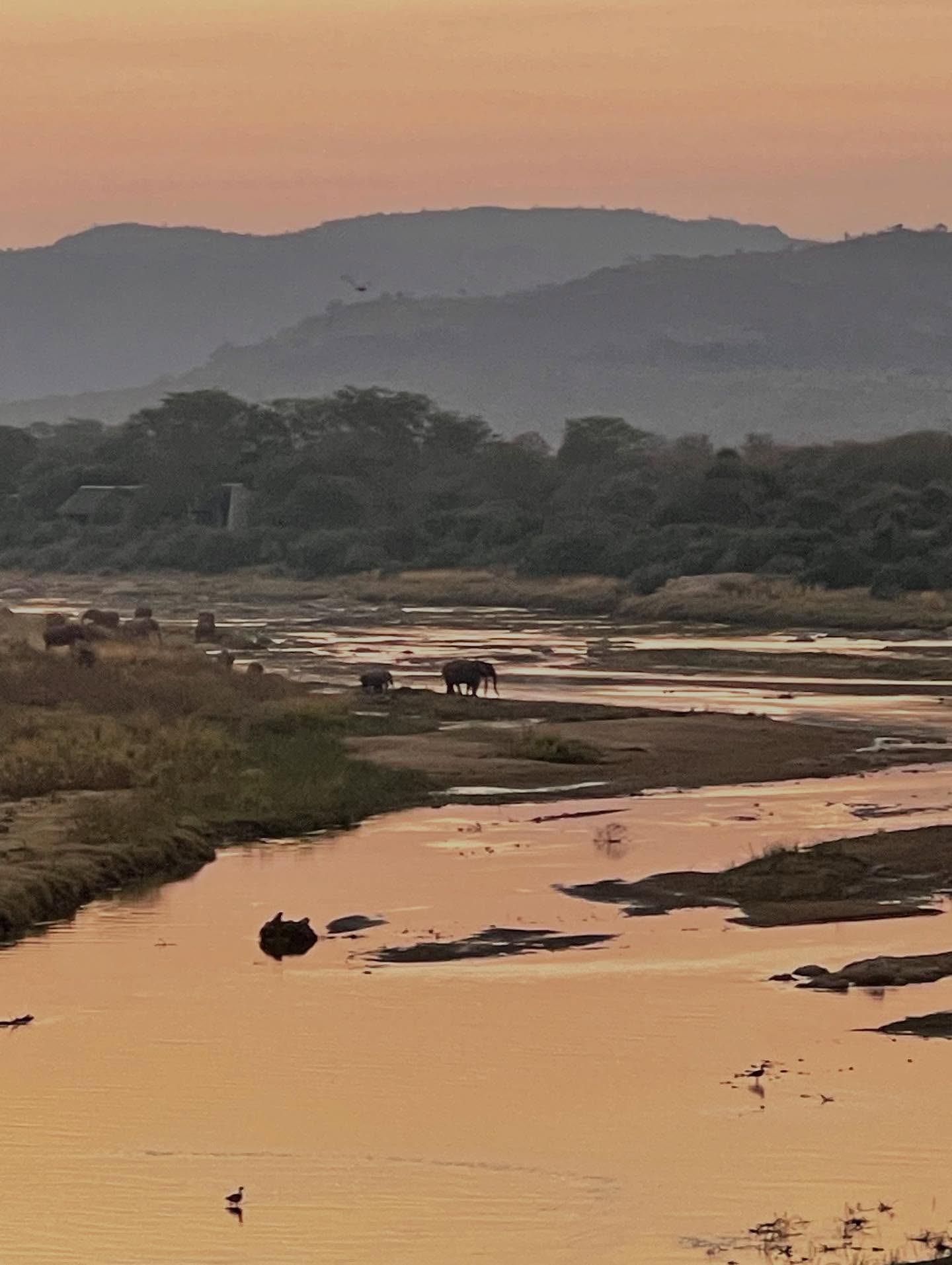 South Africa Safari And Golf Trip Inspires Conservation Efforts