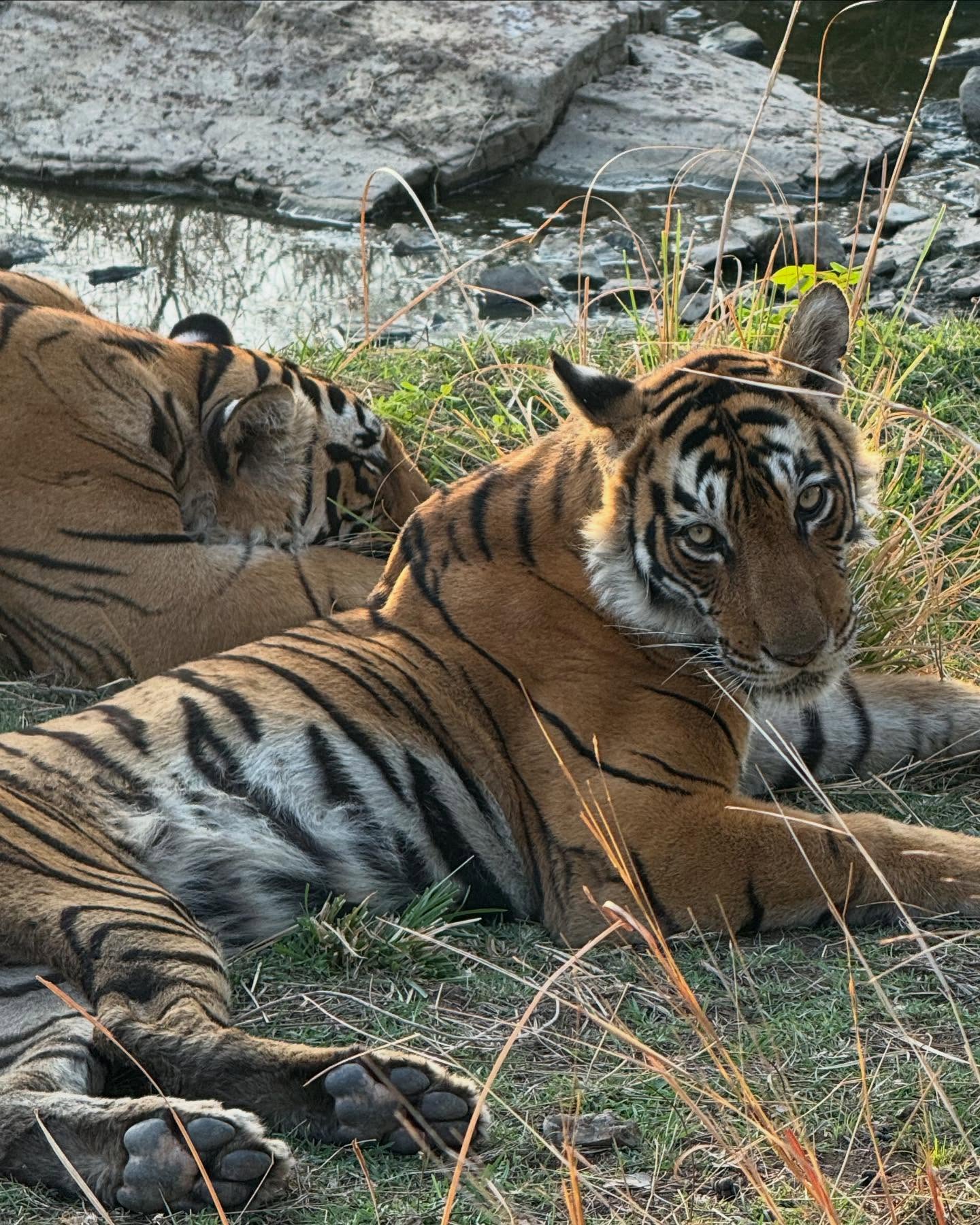Cricket icon Sunil Joshi honors Arrowhead's enduring spirit in an Instagram tribute with ♥