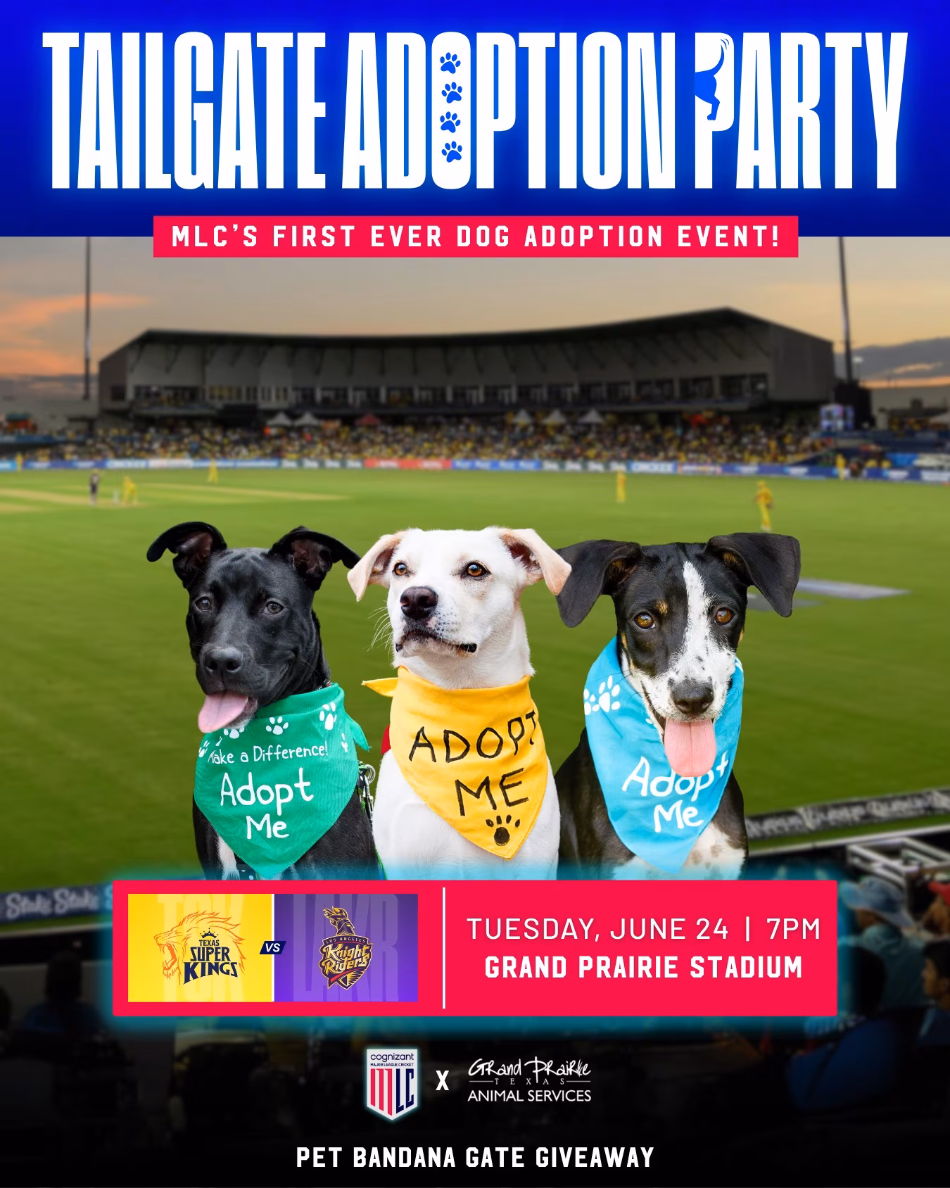 Tailgate Adoption Party Sparks Cricket and Canine Cheer Tailgate bliss blends dog adoption, vibrant cricket thrills, and heartfelt community care.