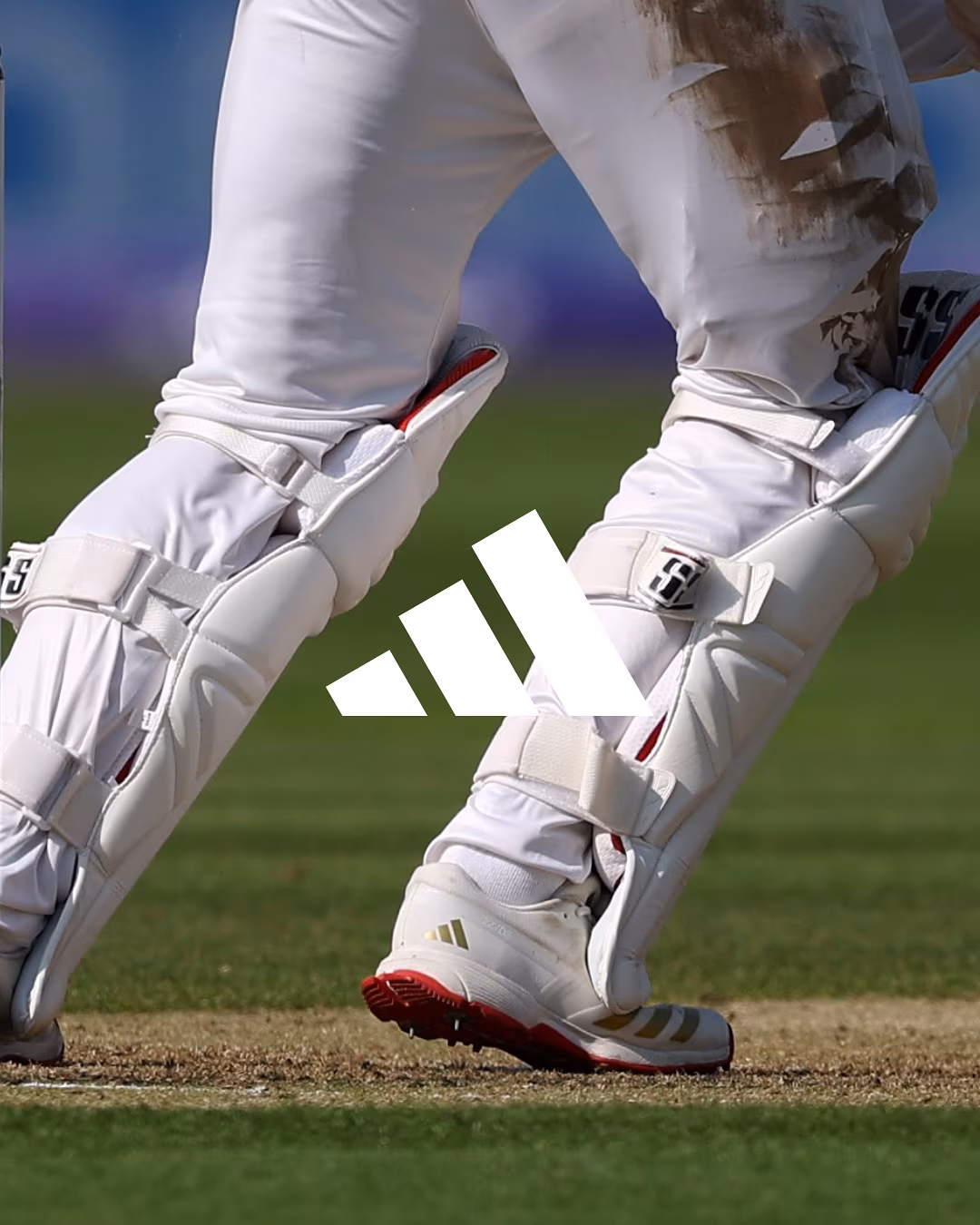 Test Cricket's New Reign Unveiled