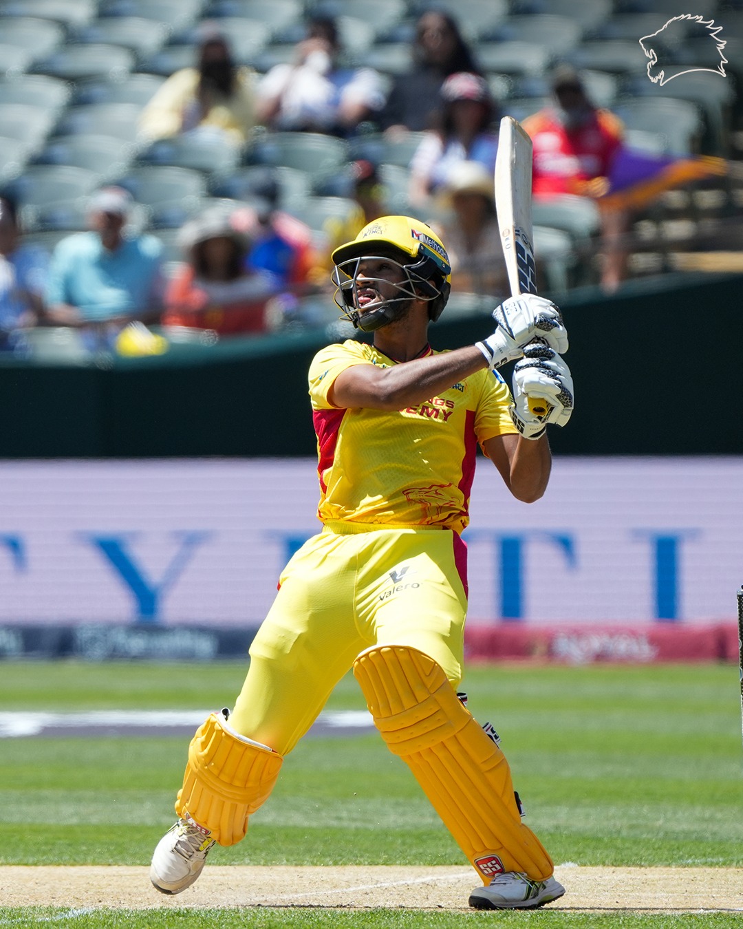 Texas Super Kings Secure Back-to-Back Win Moments