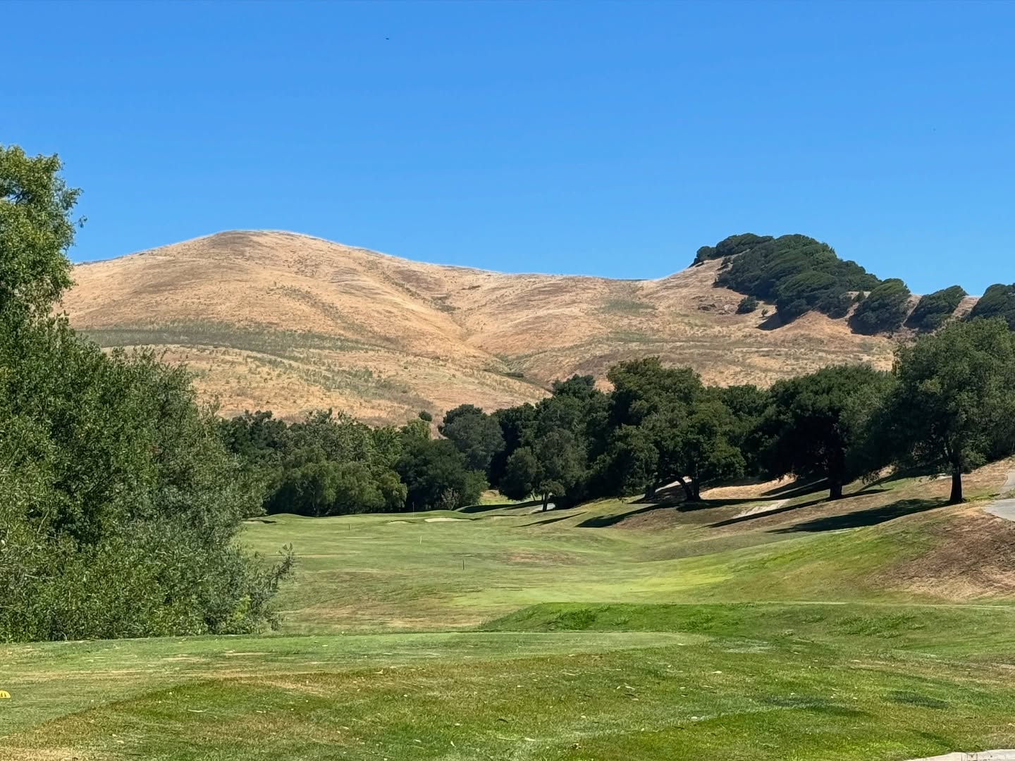 Tourist Adventure: Lisa Sthalekar Enjoys US Golf and Iconic Alcatraz