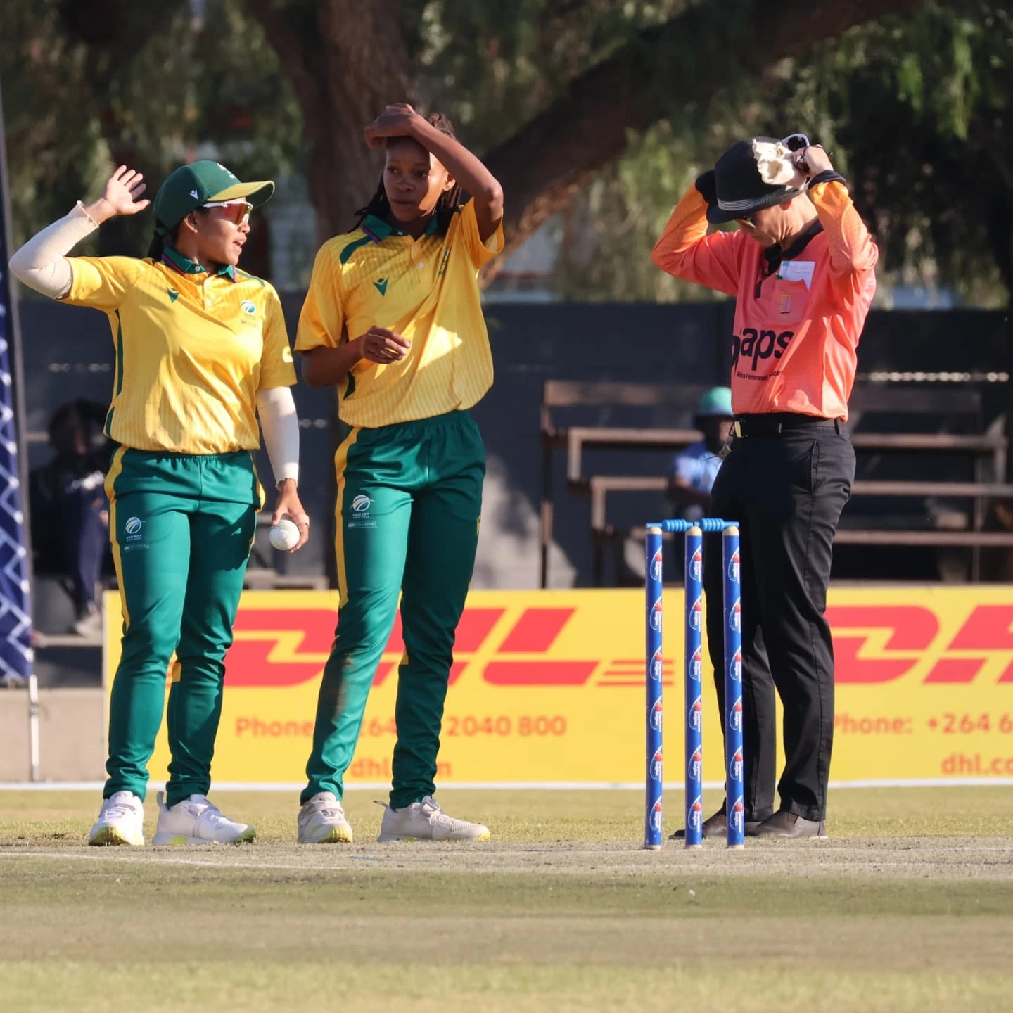 Cricket Namibia Women's Academy Score Update