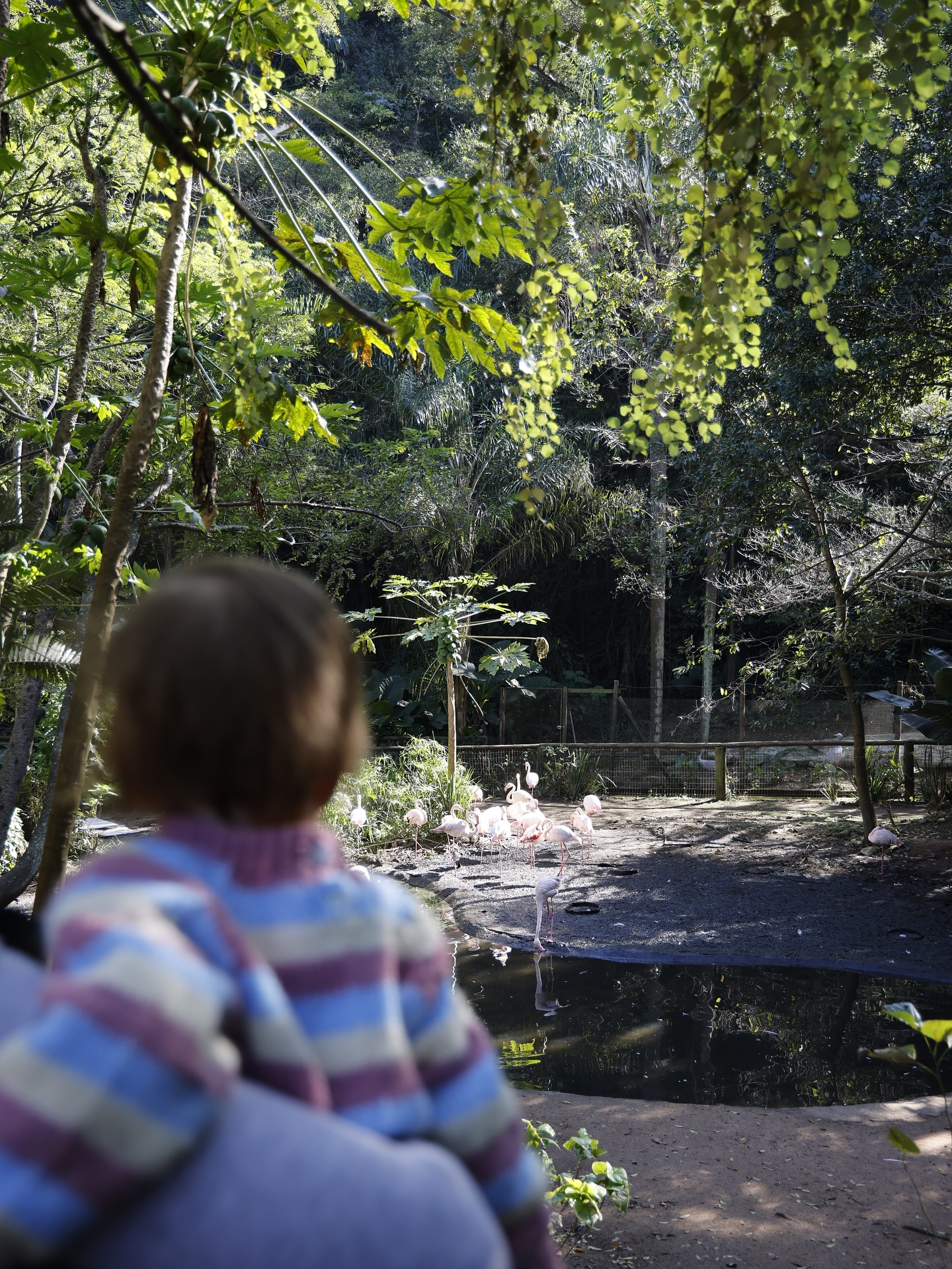 Family Outing at Umgeni River Bird Park