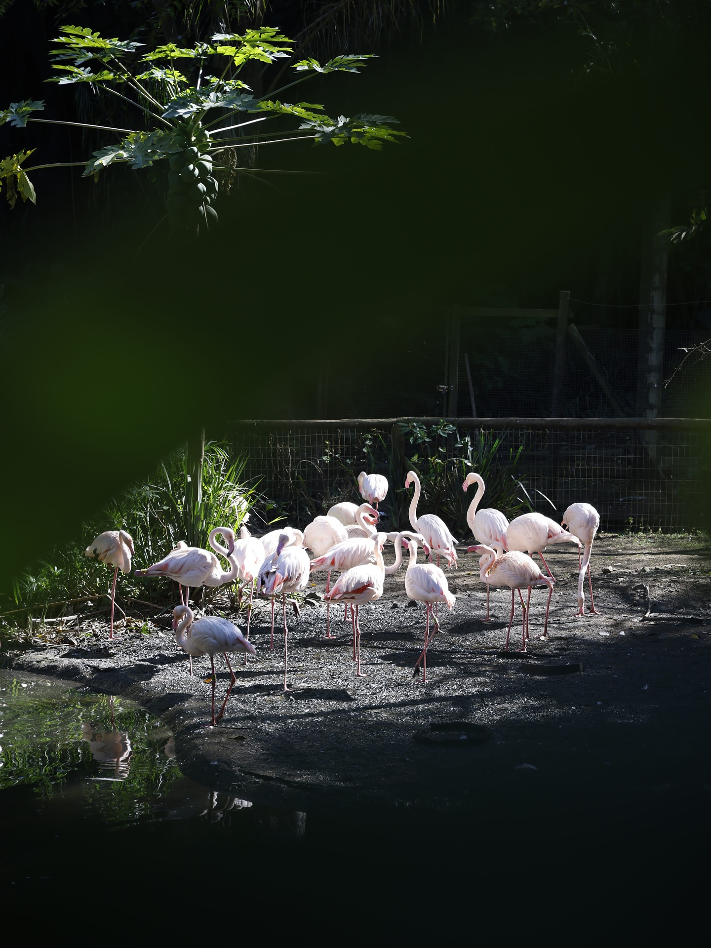 Family Outing at Umgeni River Bird Park