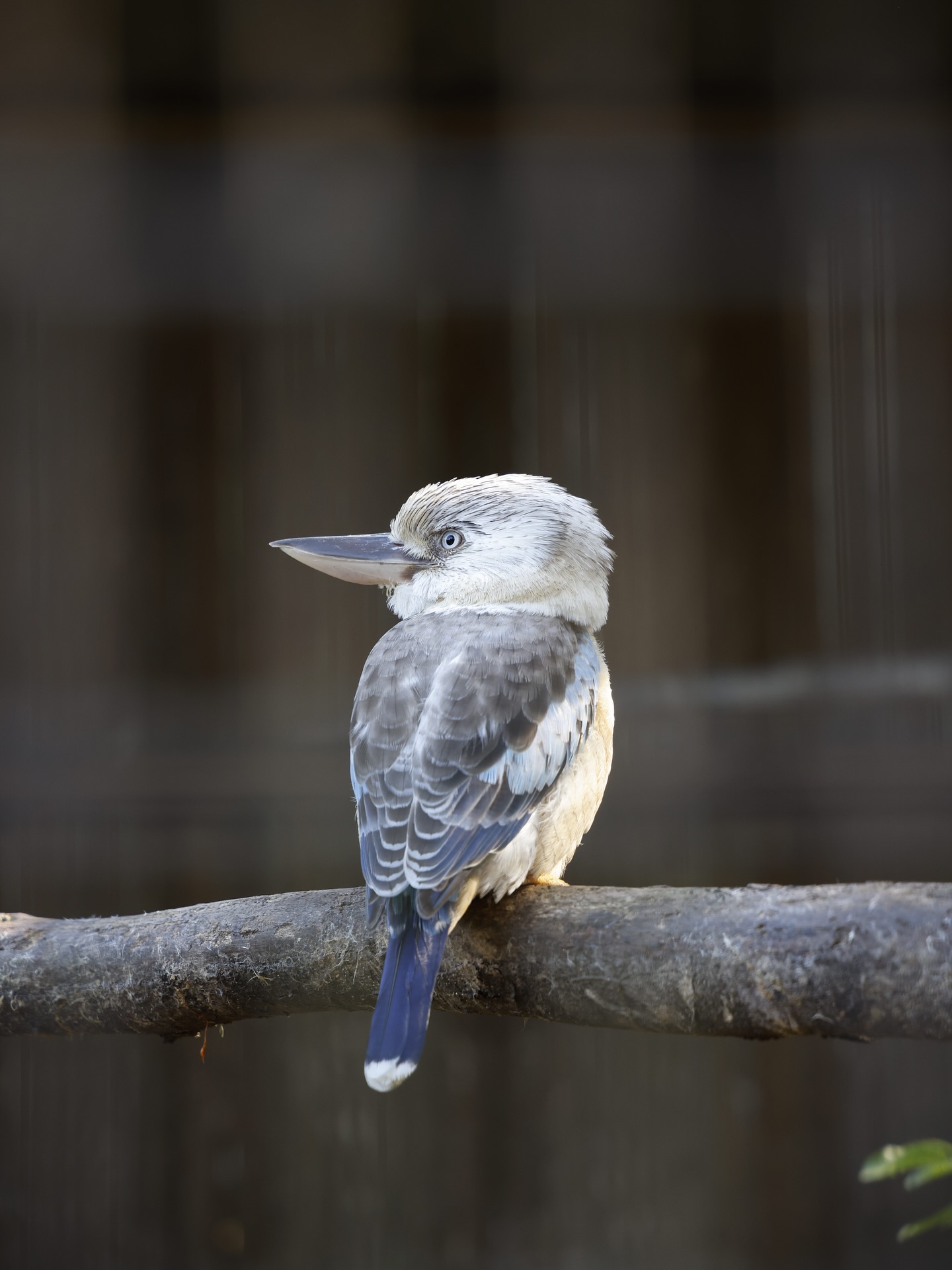 Family Outing at Umgeni River Bird Park