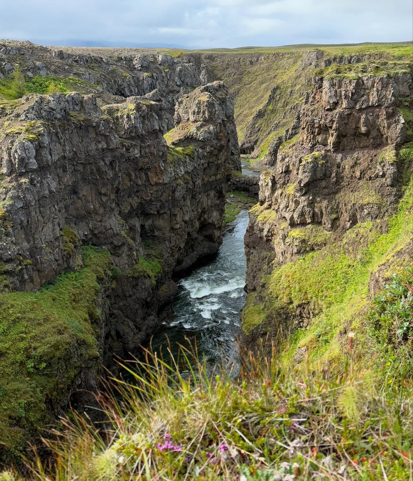 Kolugljúfur Canyon Shines in Iceland's Ring