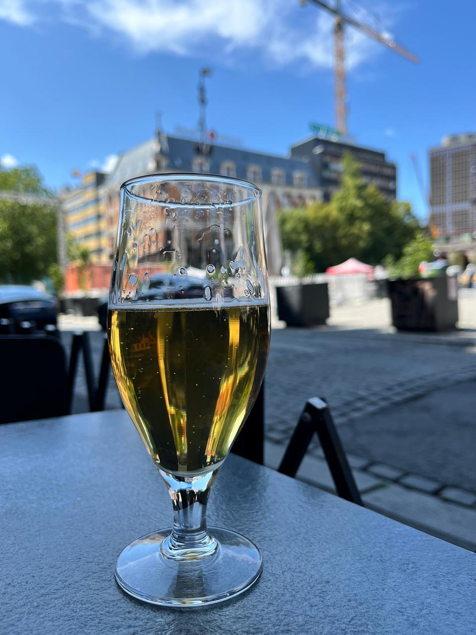 Oslo Diaries: A Nordic Sojourn